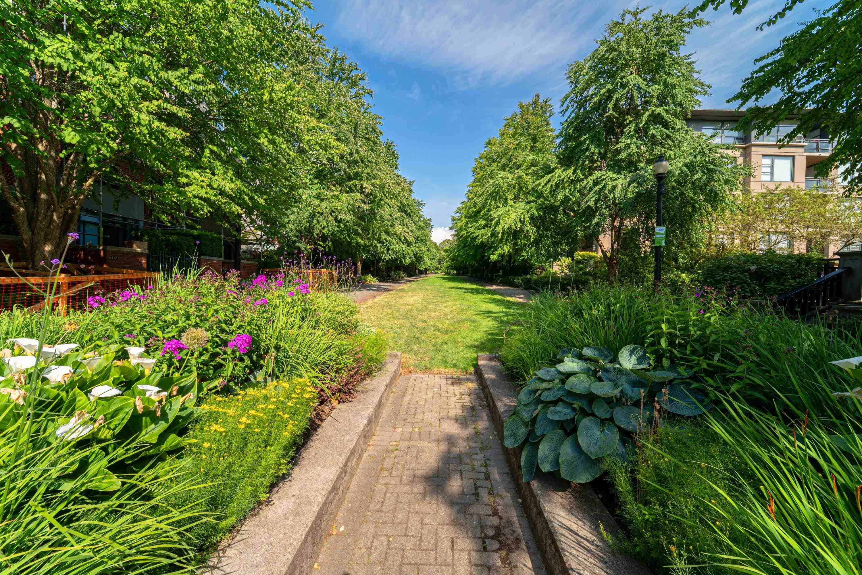 404 2688 VINE STREET Unit: 404