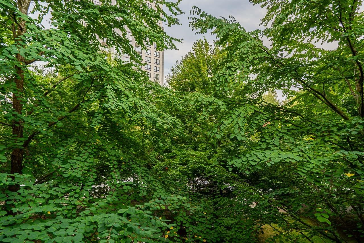 309 5380 OBEN STREET Unit: 309