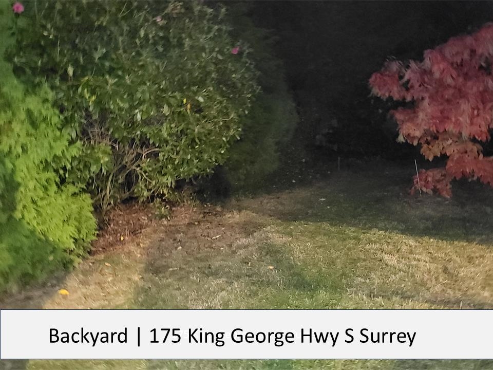 1175 KING GEORGE HIGHWAY