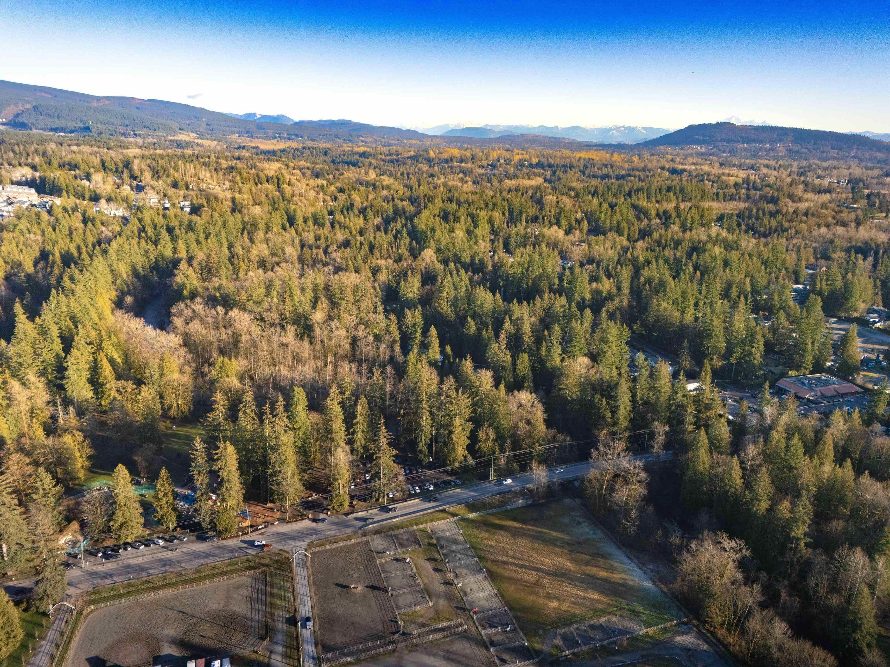 23206 CALVIN CRESCENT