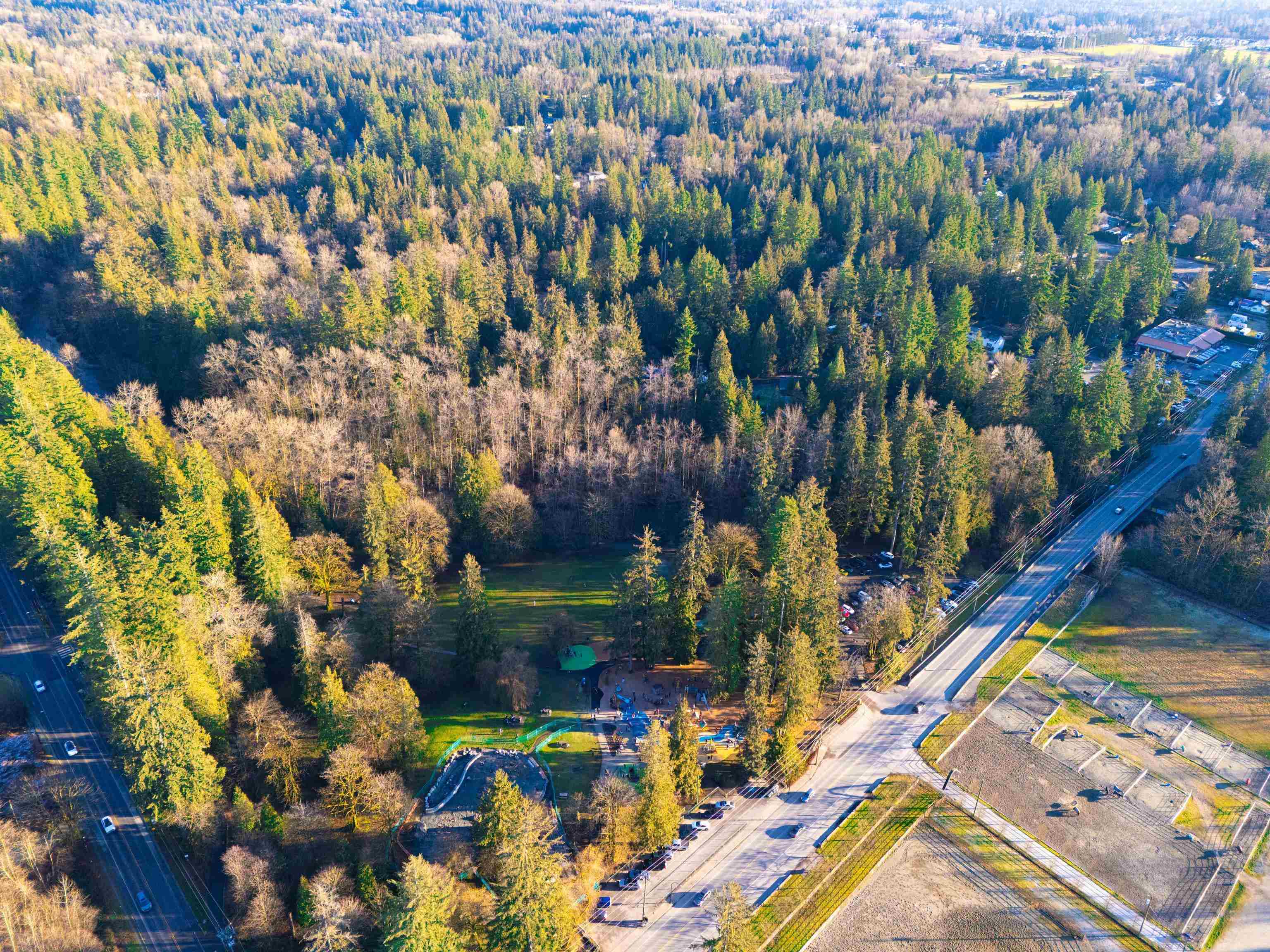 23206 CALVIN CRESCENT