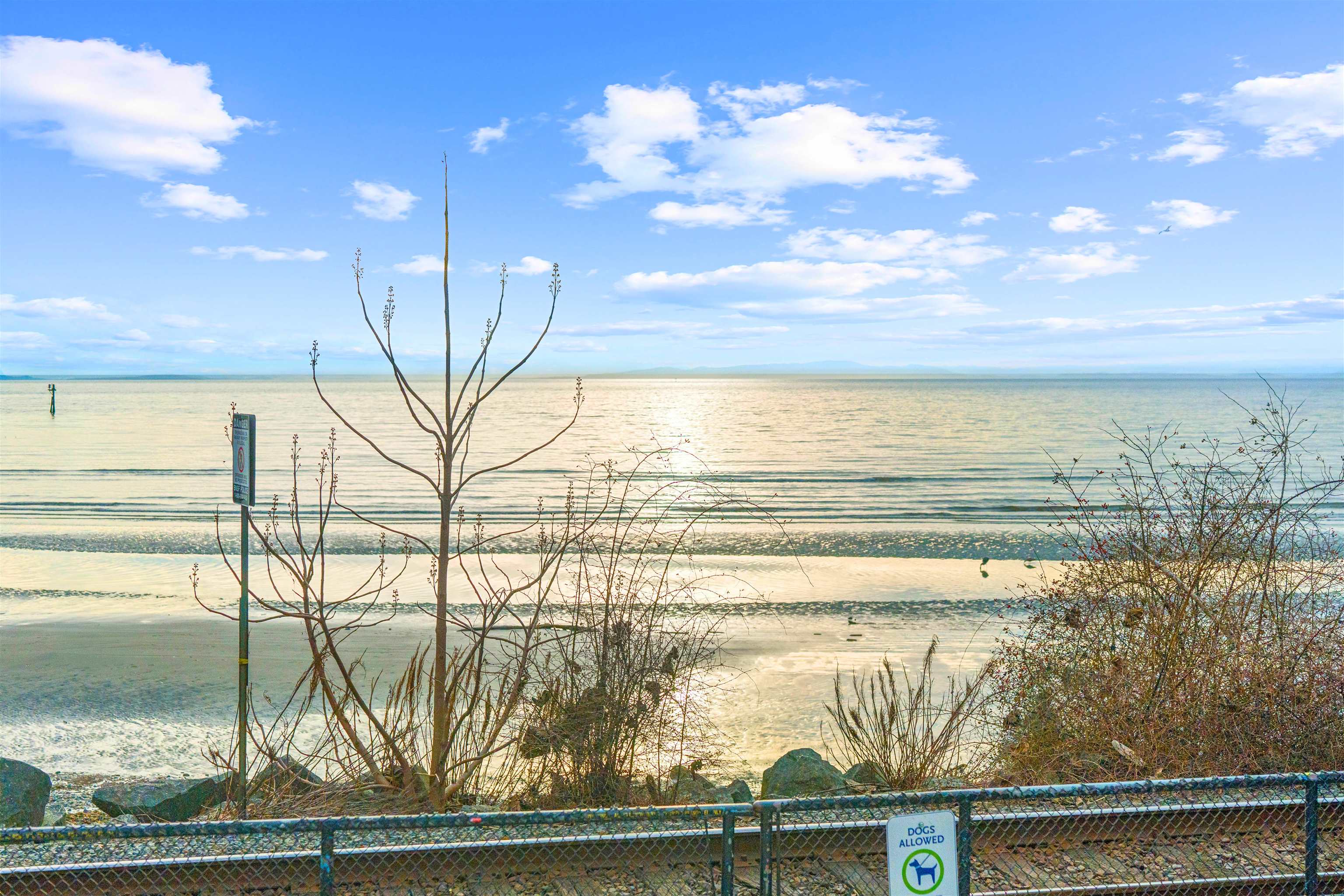 101 15353 17 AVENUE Unit: 101