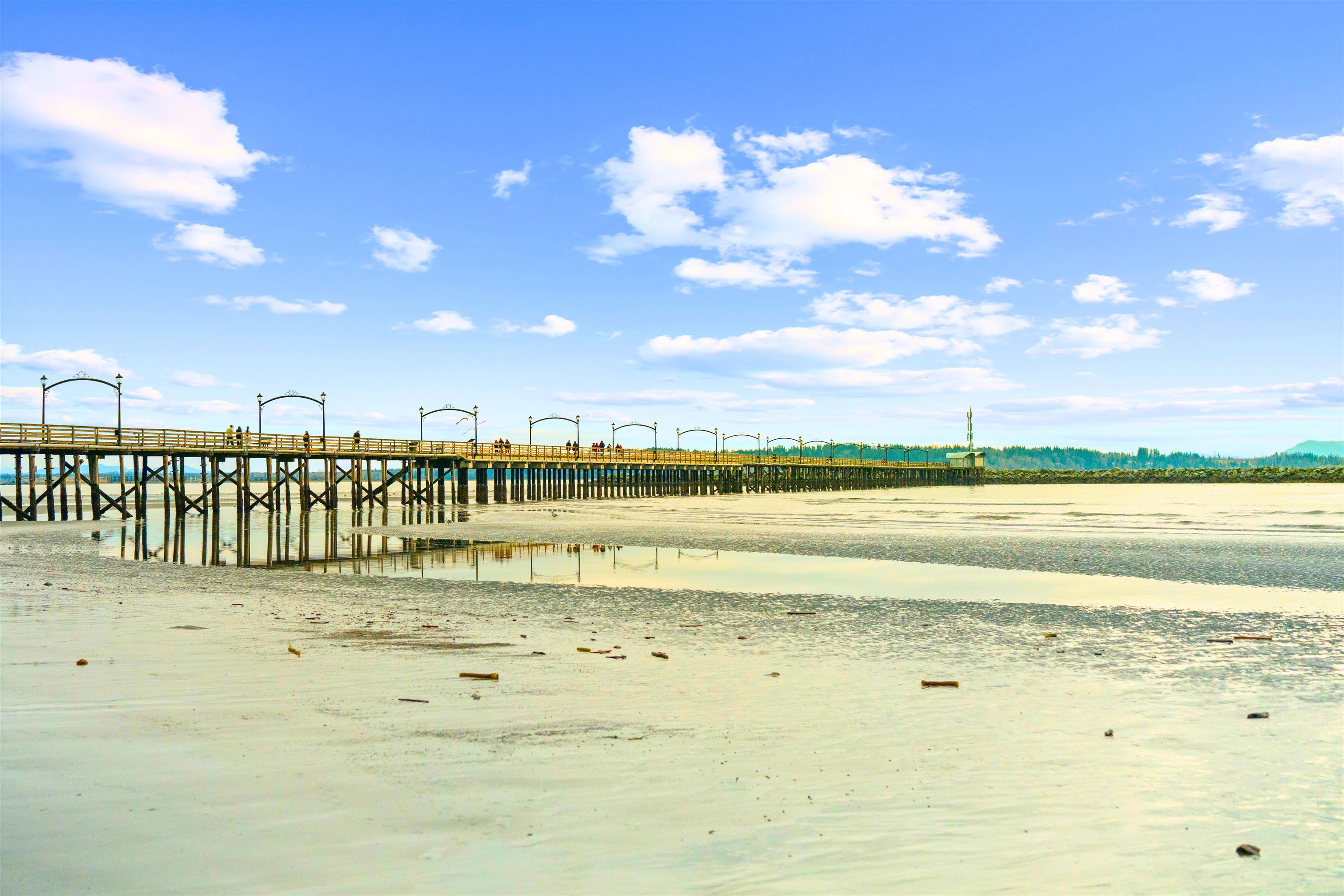 101 15353 17 AVENUE Unit: 101