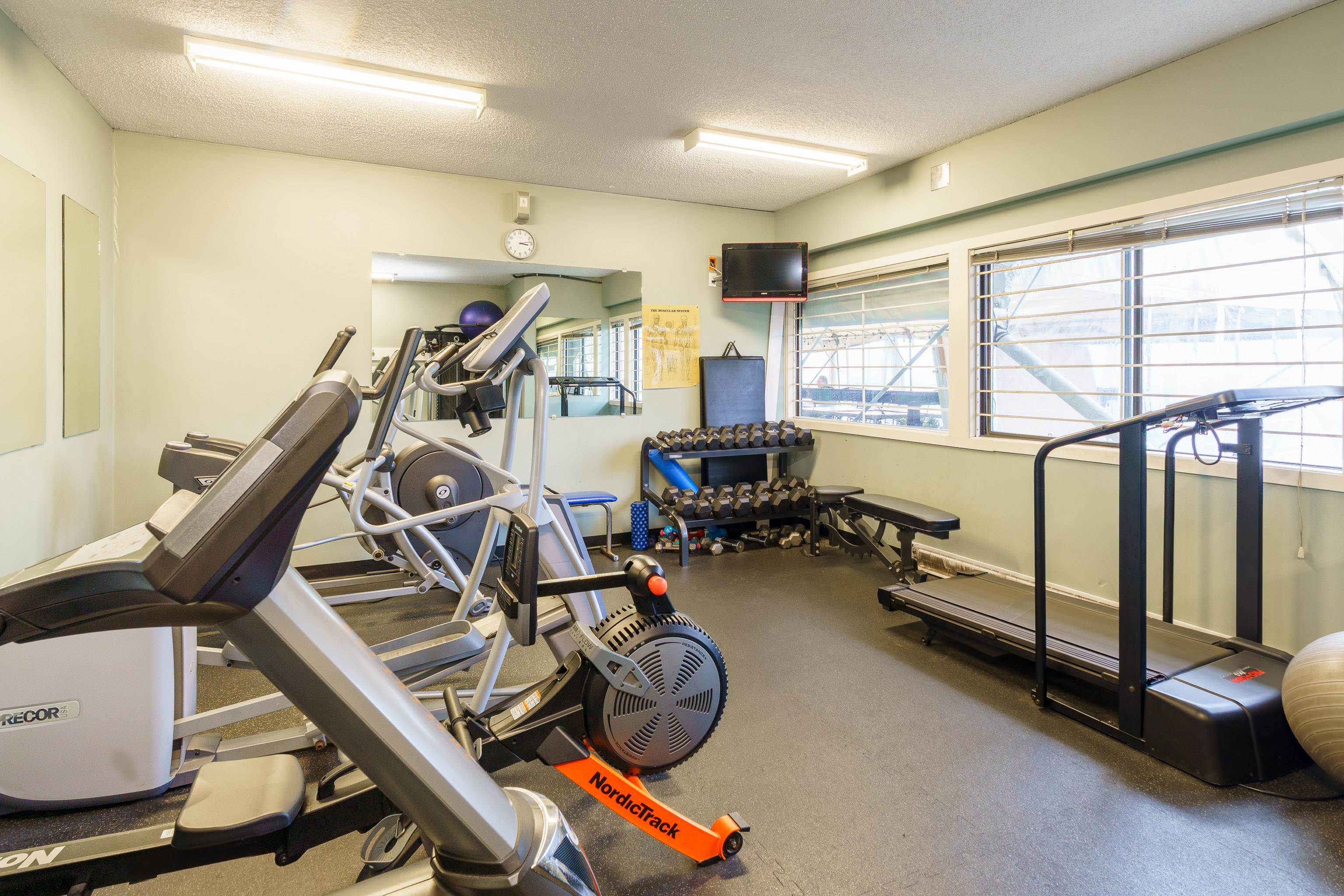 3603 NICO WYND DRIVE