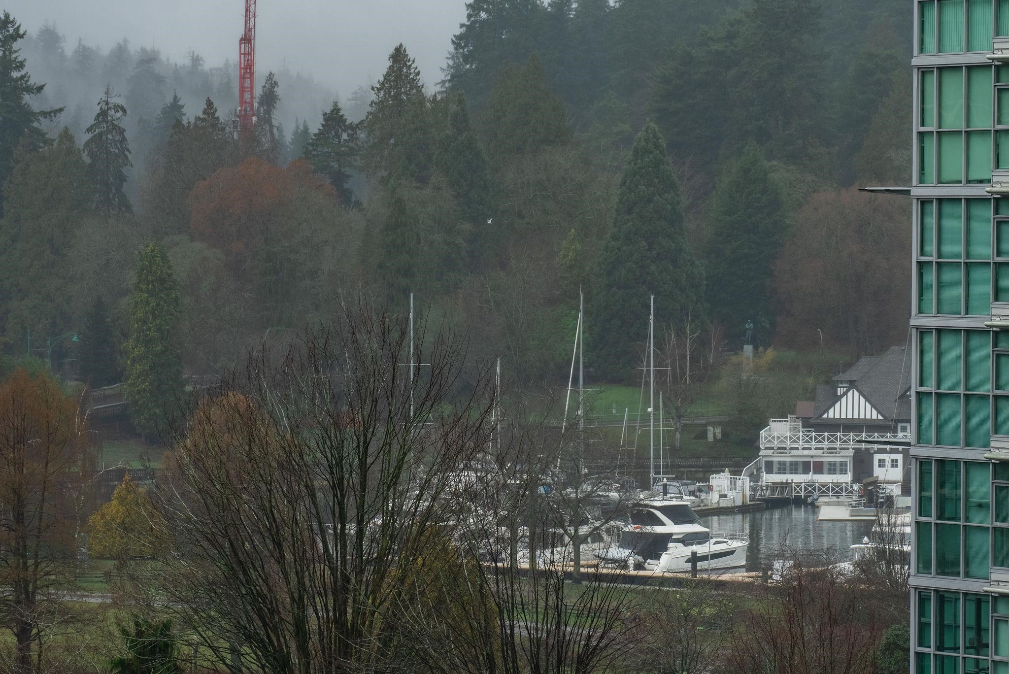 803 1723 ALBERNI STREET Unit: 803