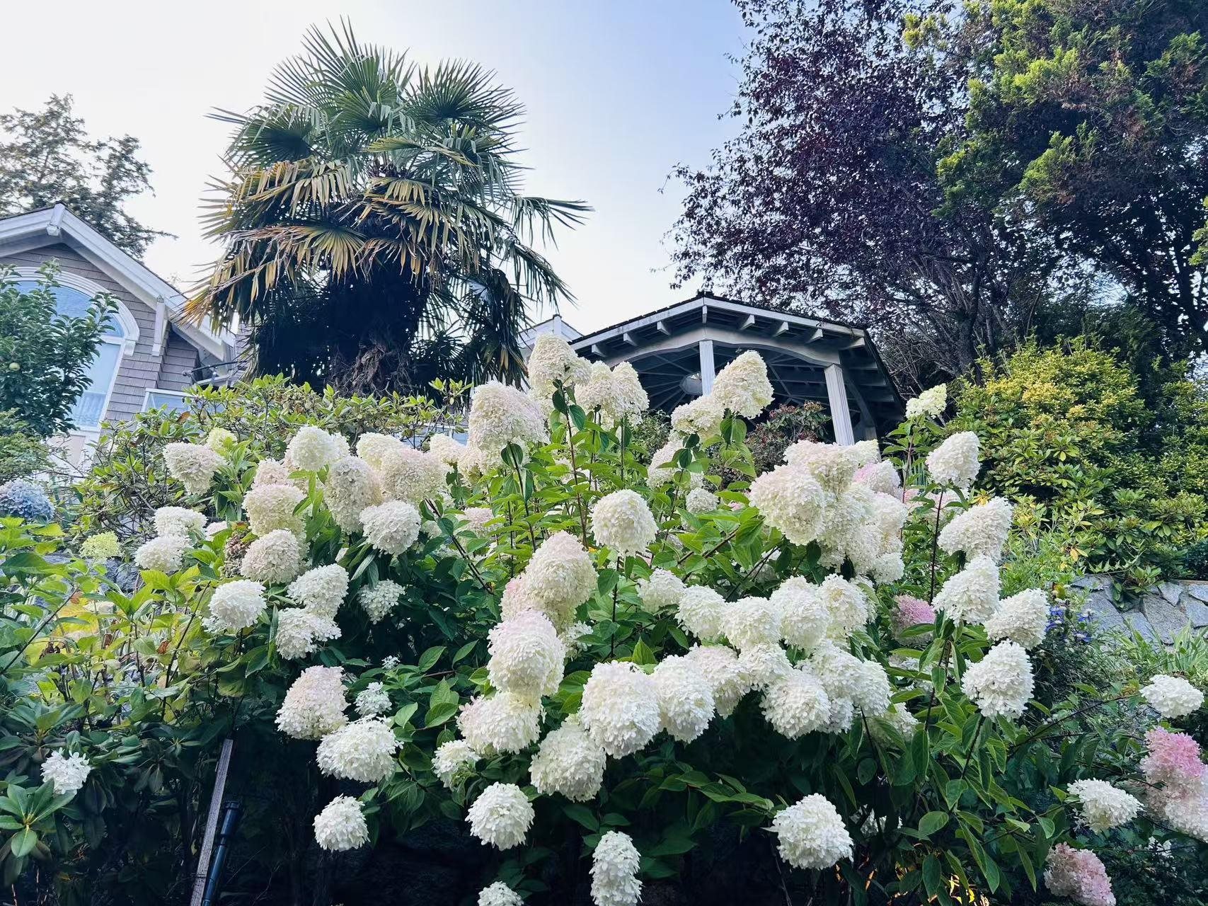 3395 THOMPSON CRESCENT