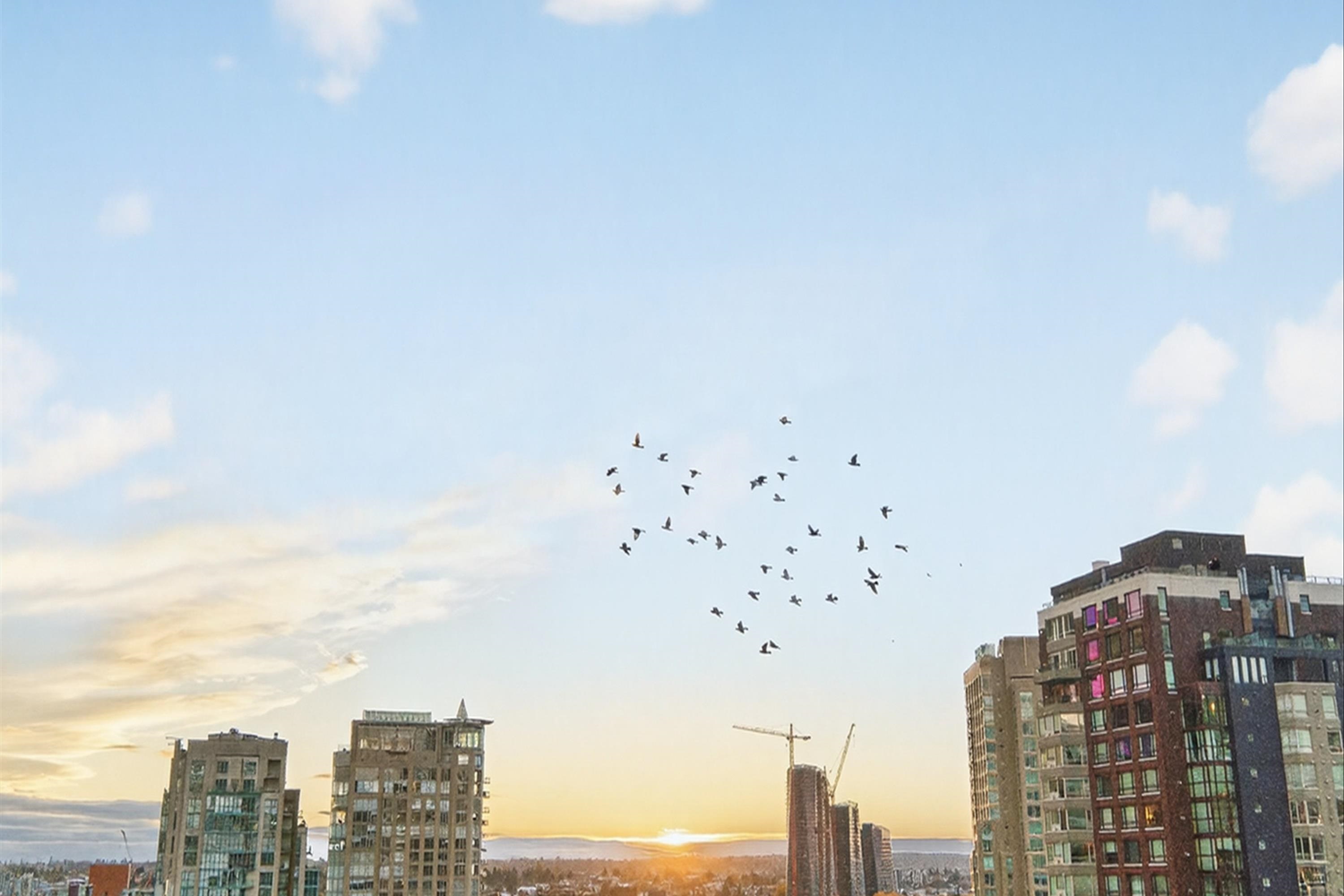 902 950 DRAKE STREET Unit: 902