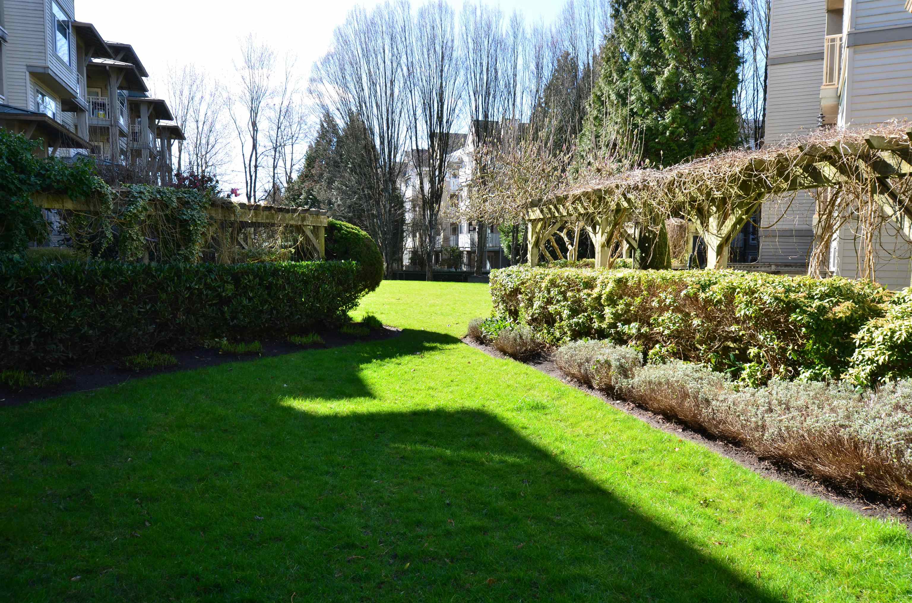 217 8180 JONES ROAD Unit: 217