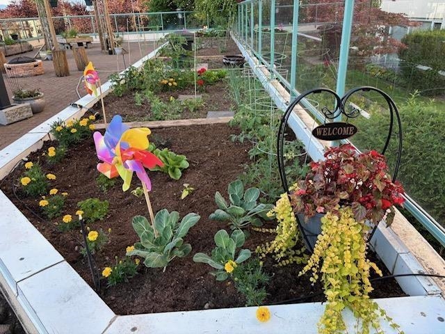 301 3190 GLADWIN ROAD Unit: 301