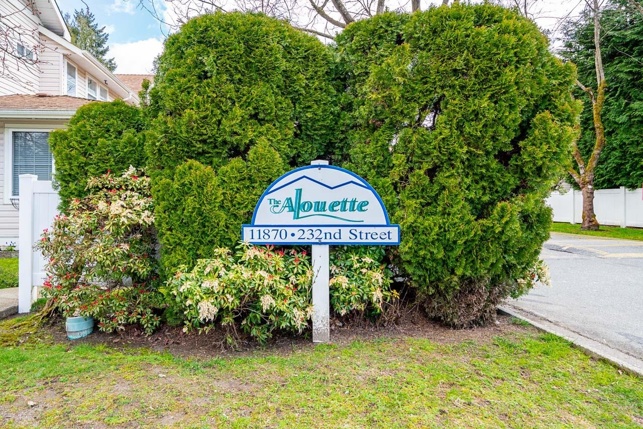 24 11870 232 STREET Unit: 24
