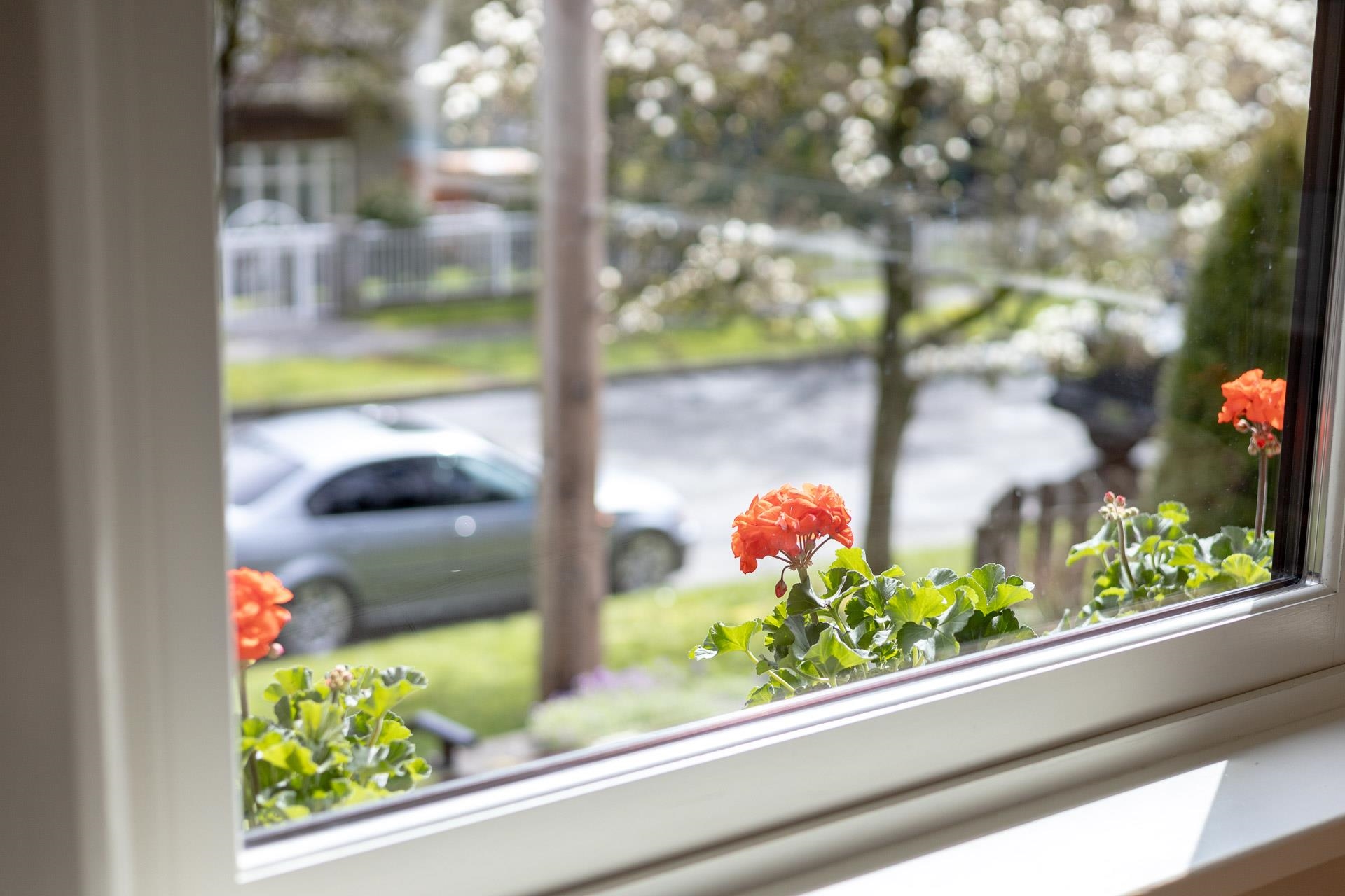 1515 EDINBURGH STREET