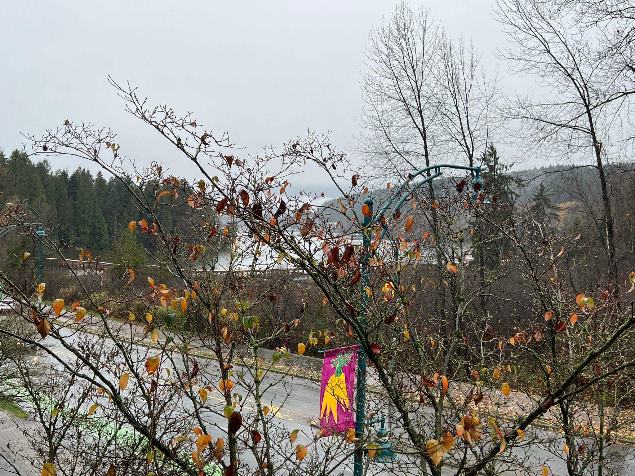 206 700 KLAHANIE DRIVE Unit: 206