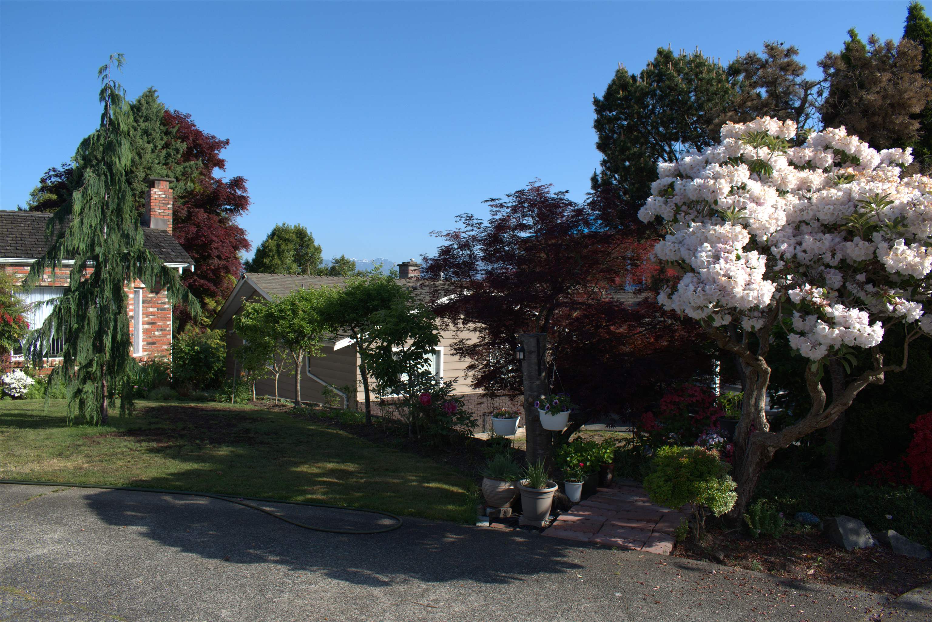 7879 WELSLEY DRIVE