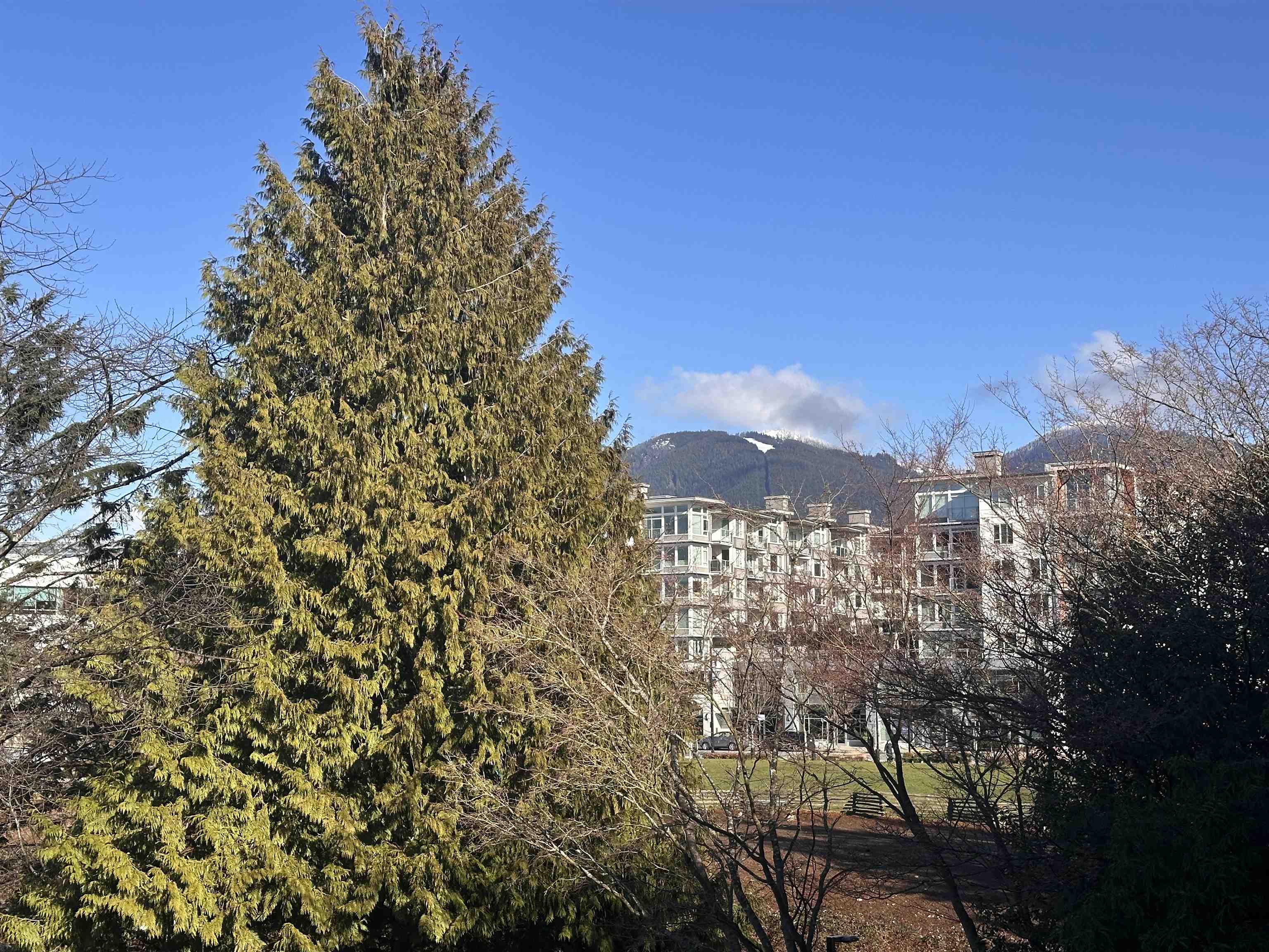 1306 33 CHESTERFIELD PLACE Unit: 1306