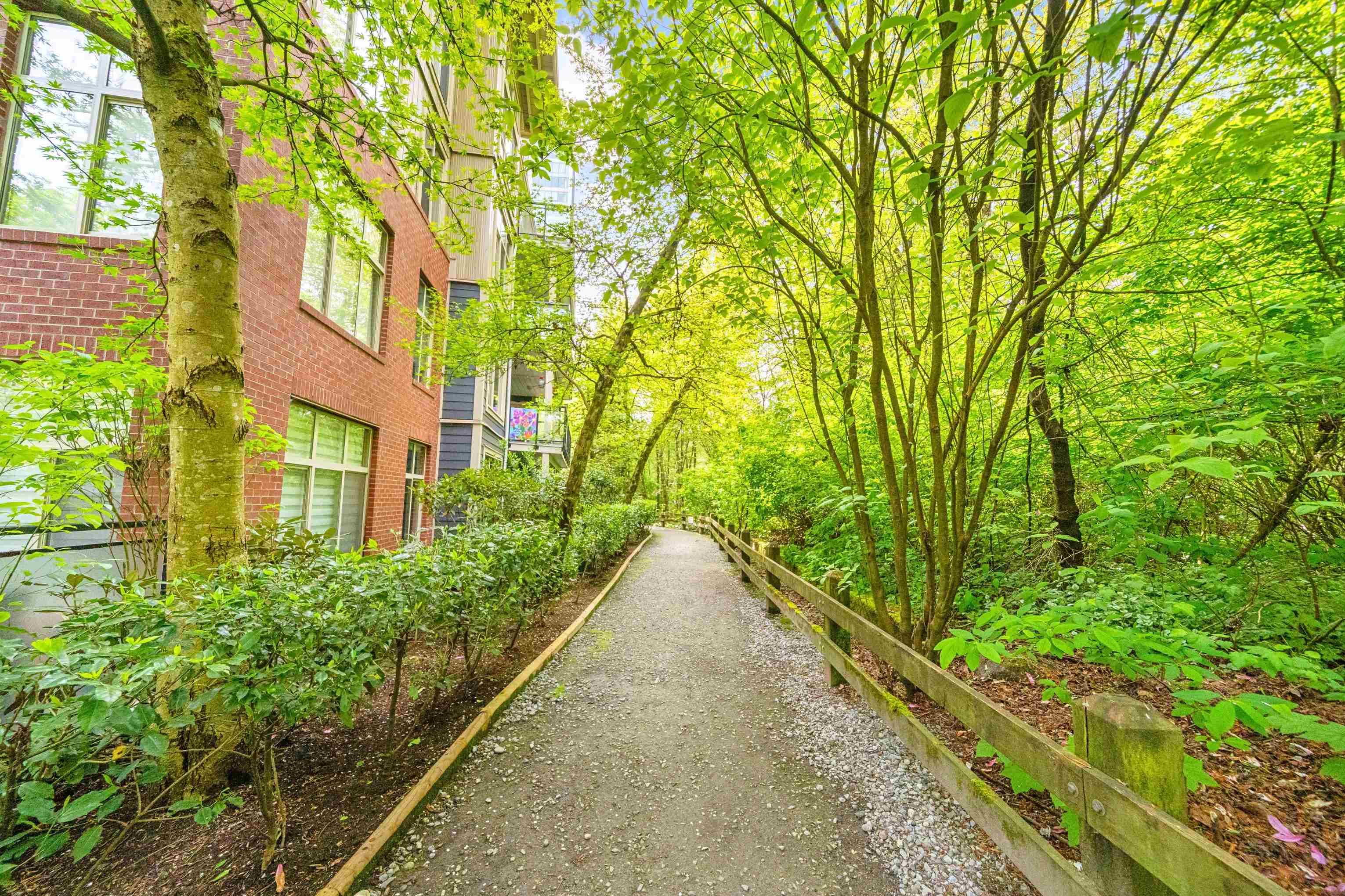 101 201 MORRISSEY ROAD Unit: 101