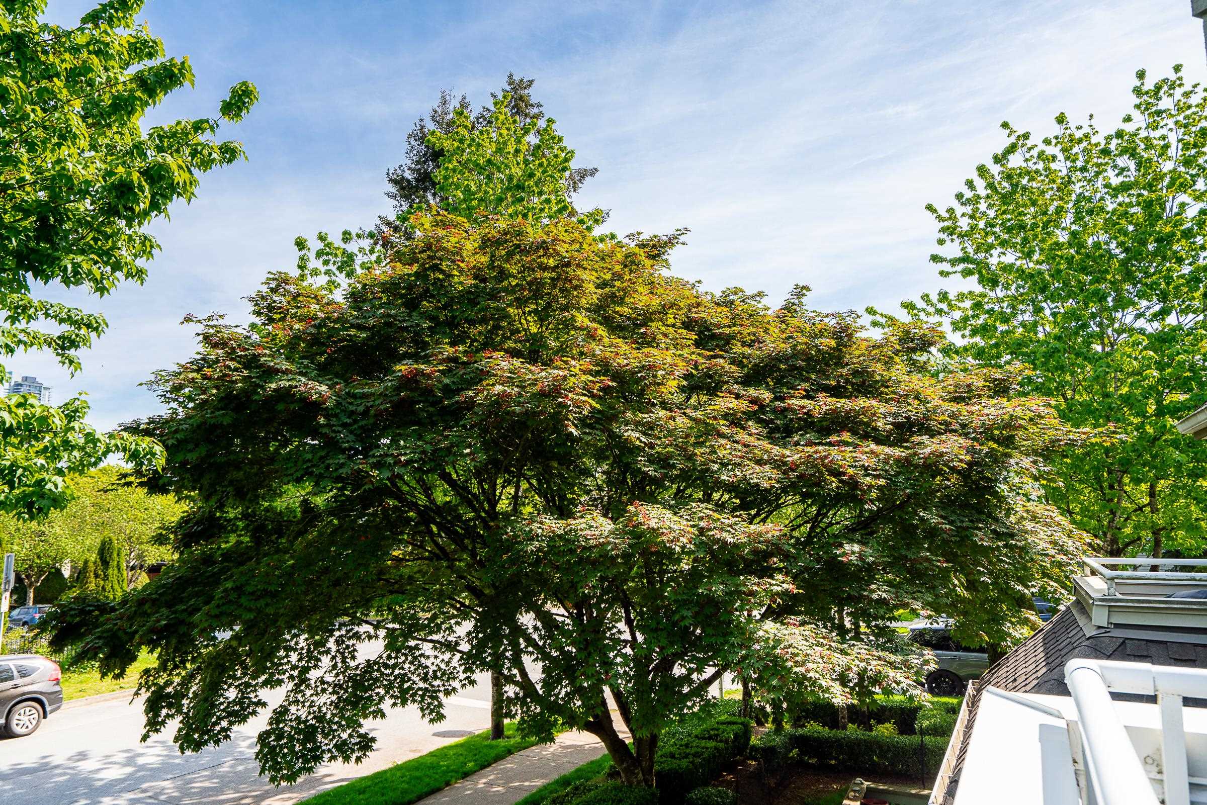 204 3183 ESMOND AVENUE Unit: 204