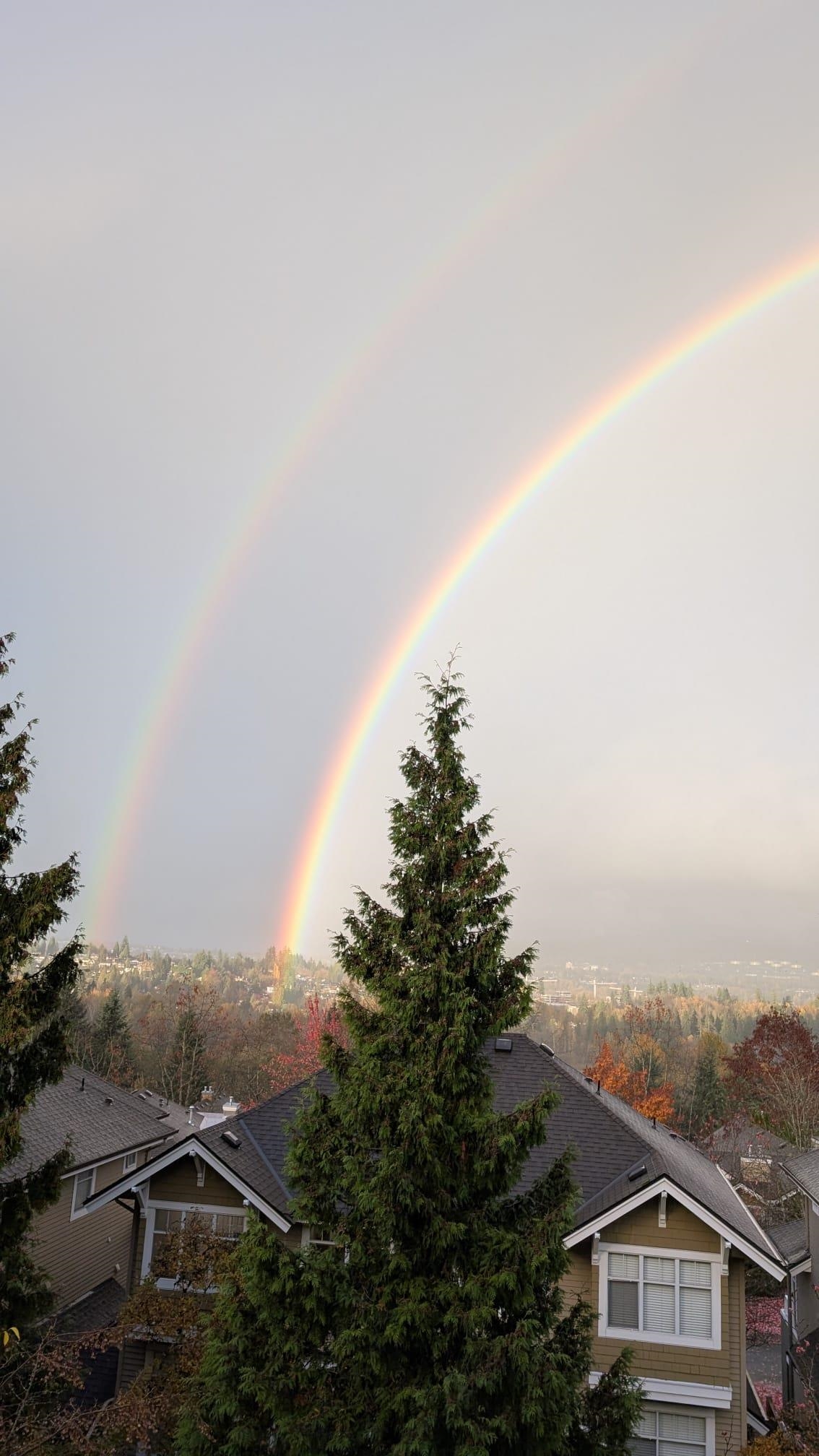 307 5270 OAKMOUNT CRESCENT Unit: 307