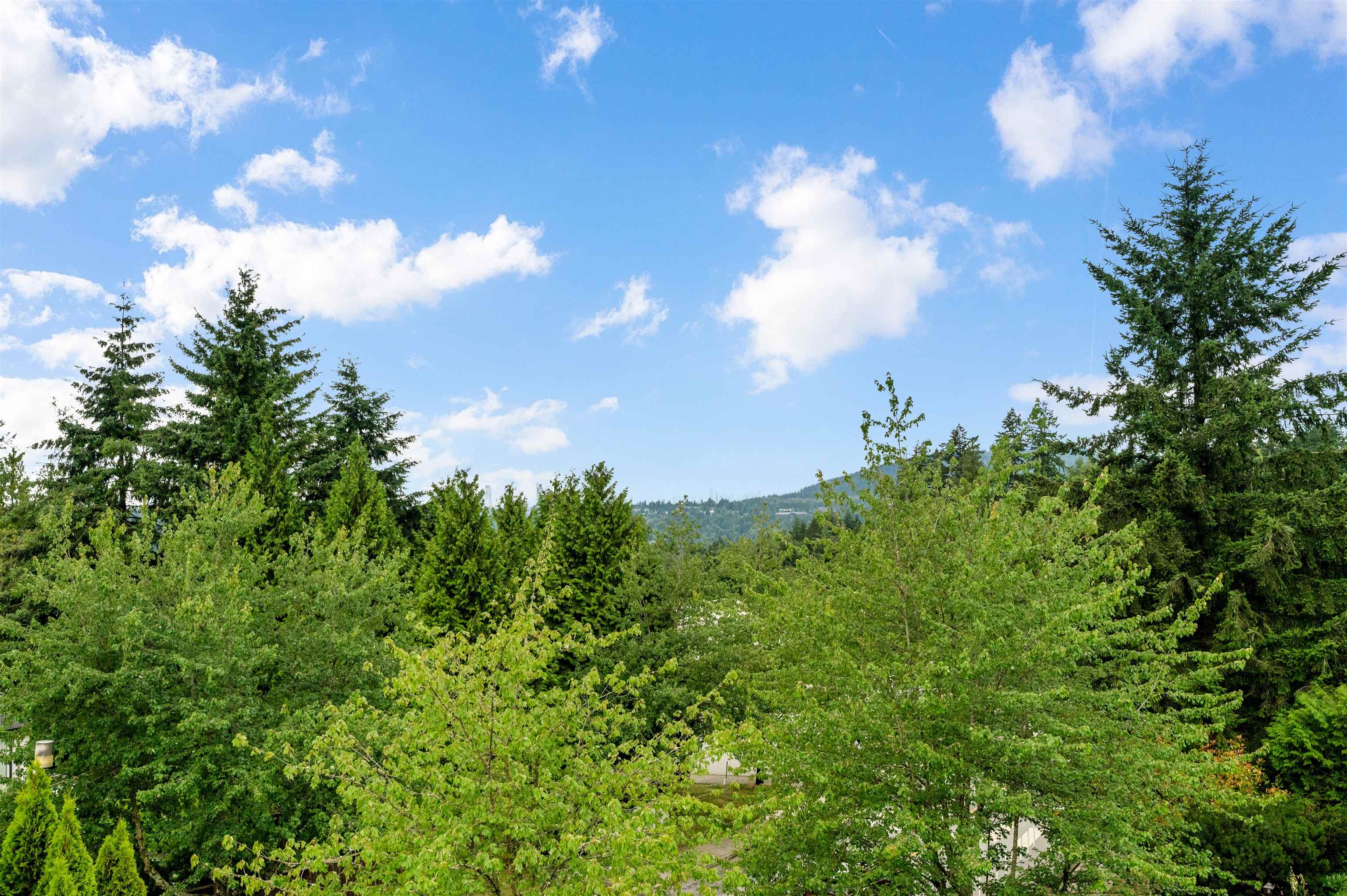 116 RAVINE DRIVE