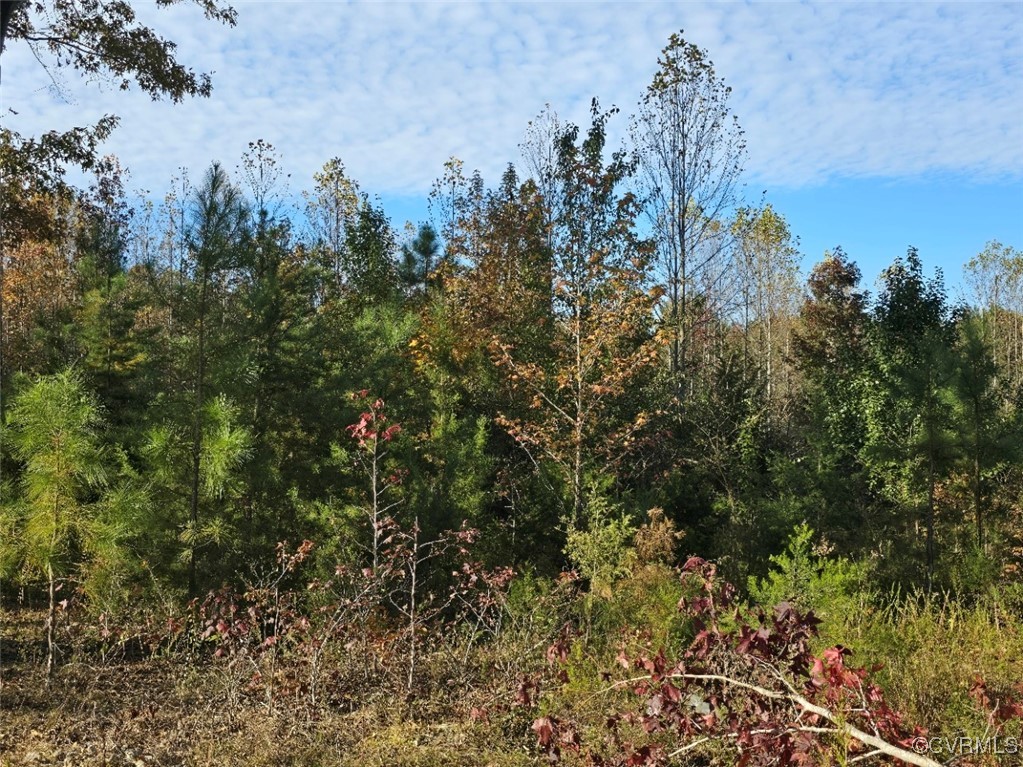 11100 Patrick Henry Hwy