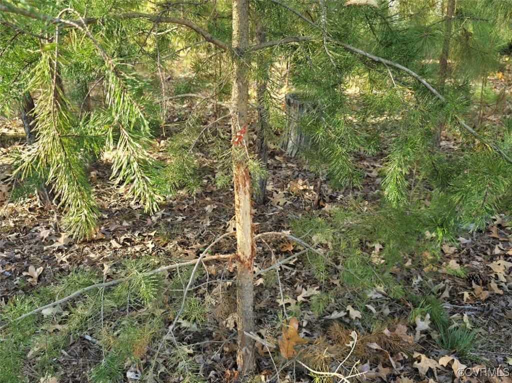 11100 Patrick Henry Hwy