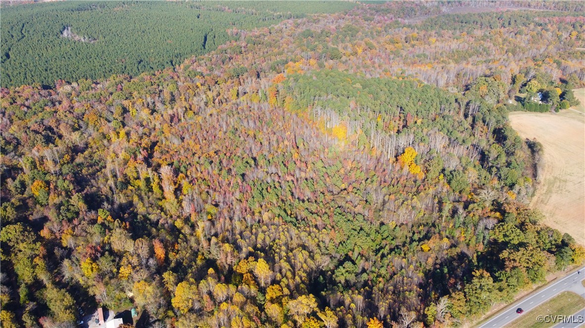 11100 Patrick Henry Hwy