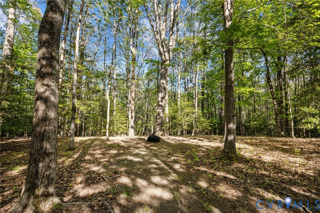 1952 Huguenot Hundred Dr