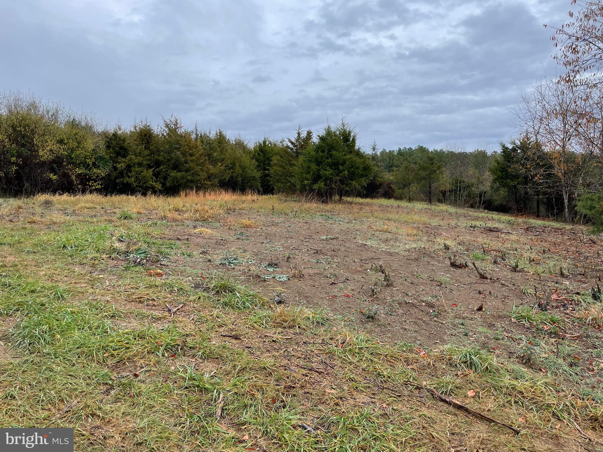 11085 Shenandoah Path