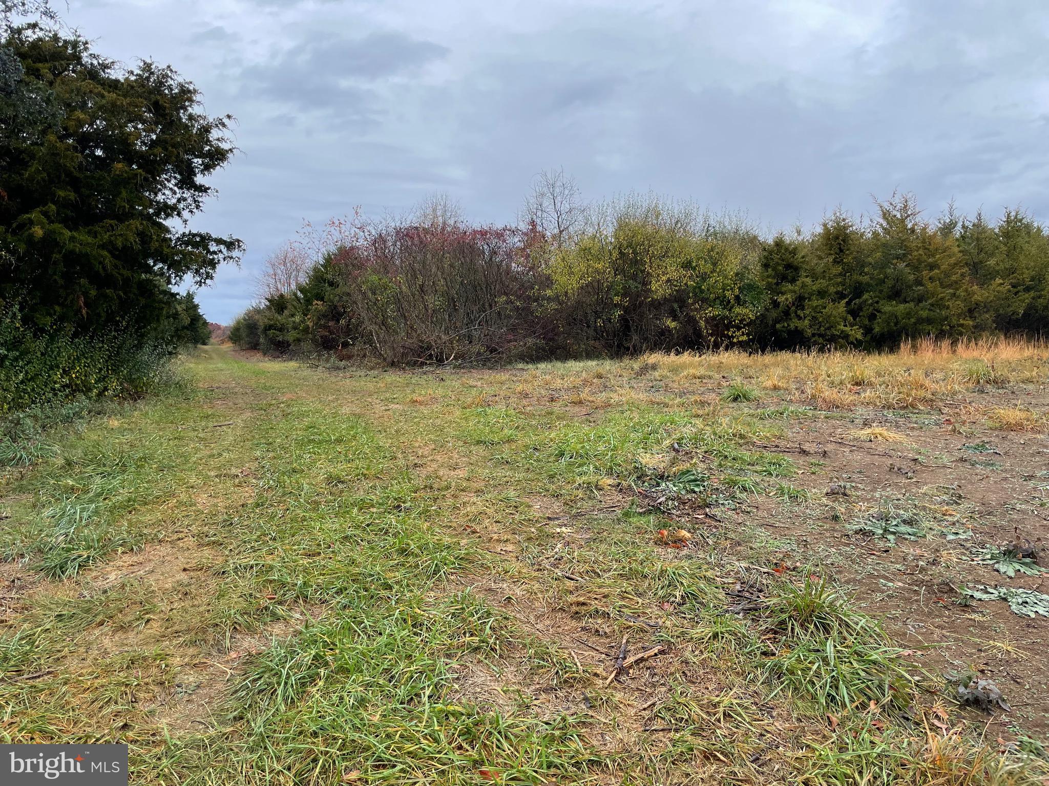 11085 Shenandoah Path