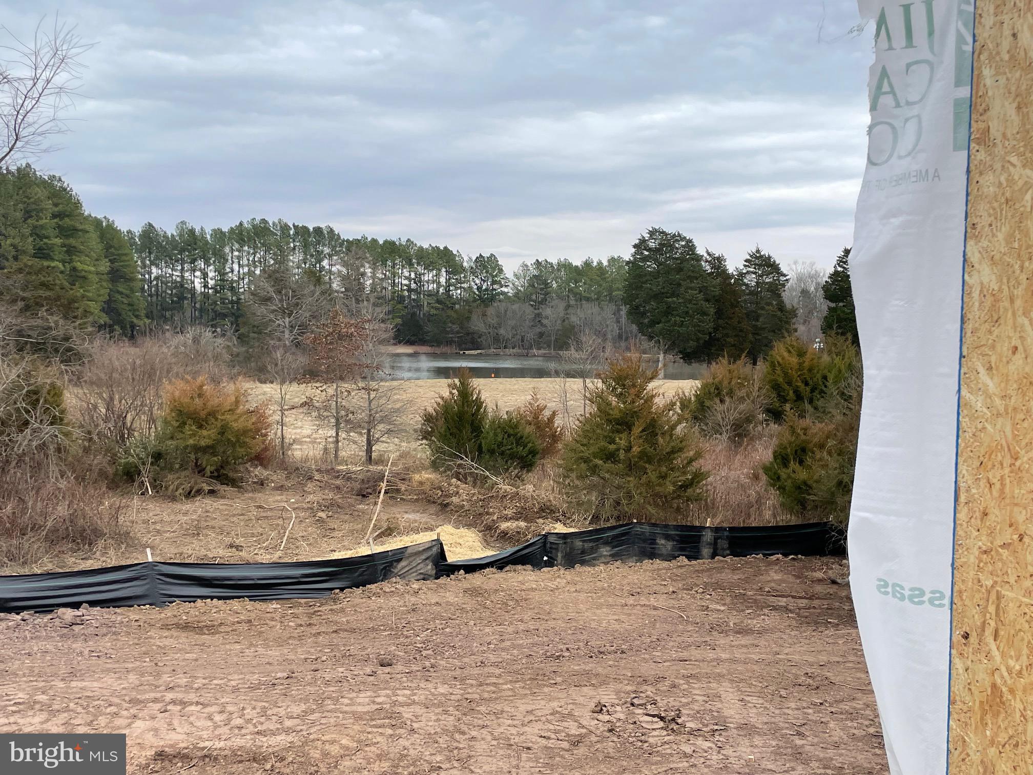 11085 Shenandoah Path