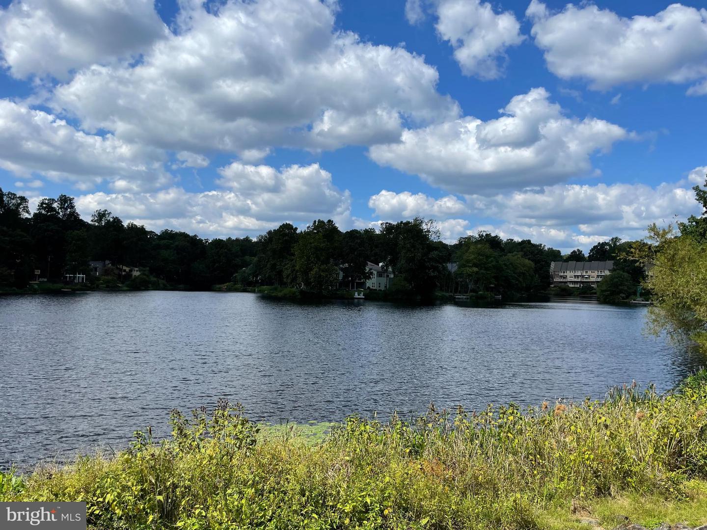 1583 Brass Lantern Way