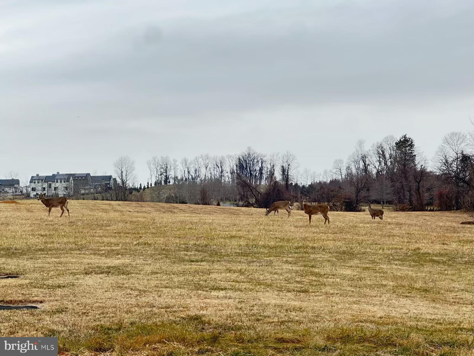 110 N MADISON STREET