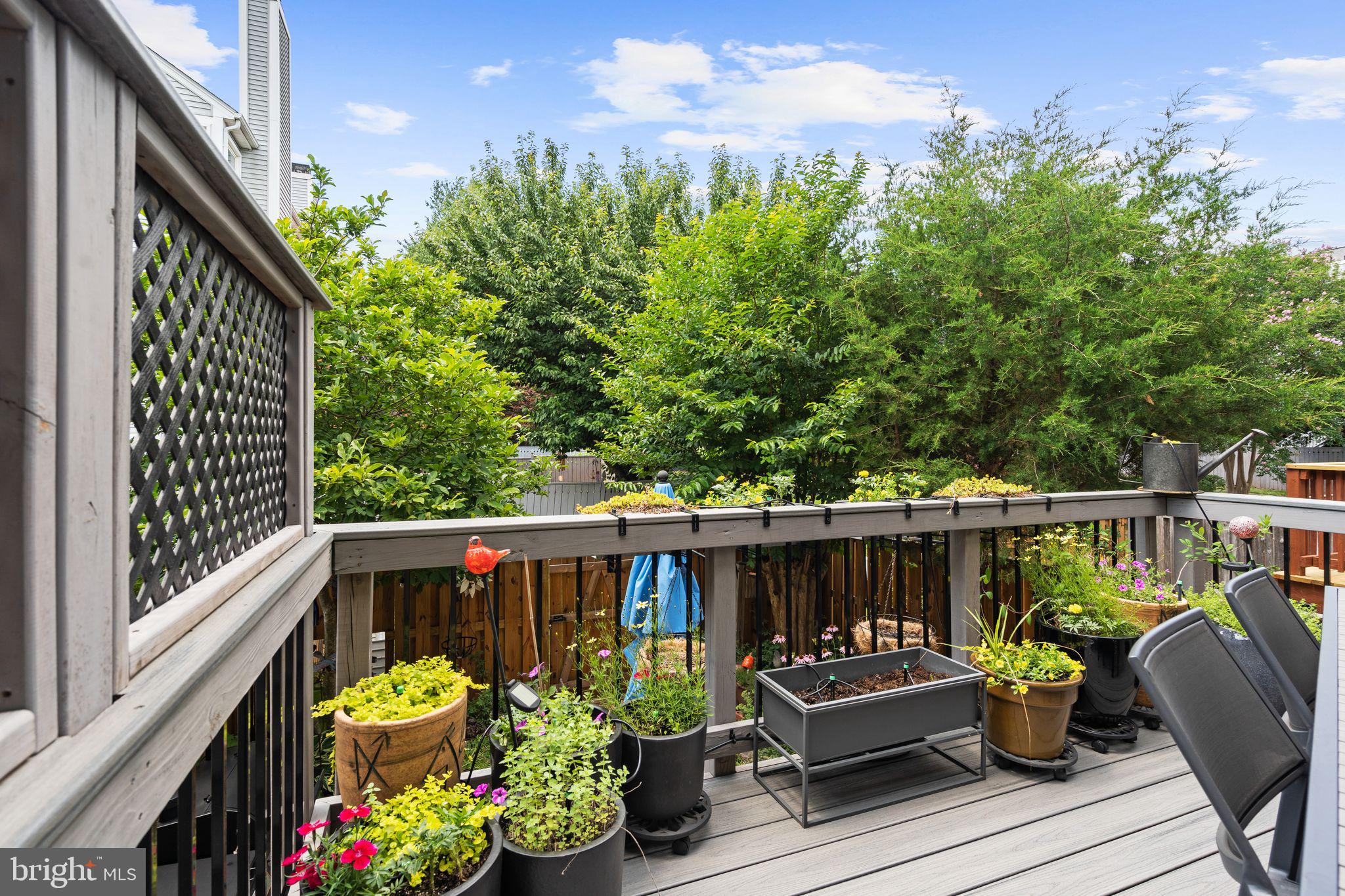 10186 SPEEDWELL COURT