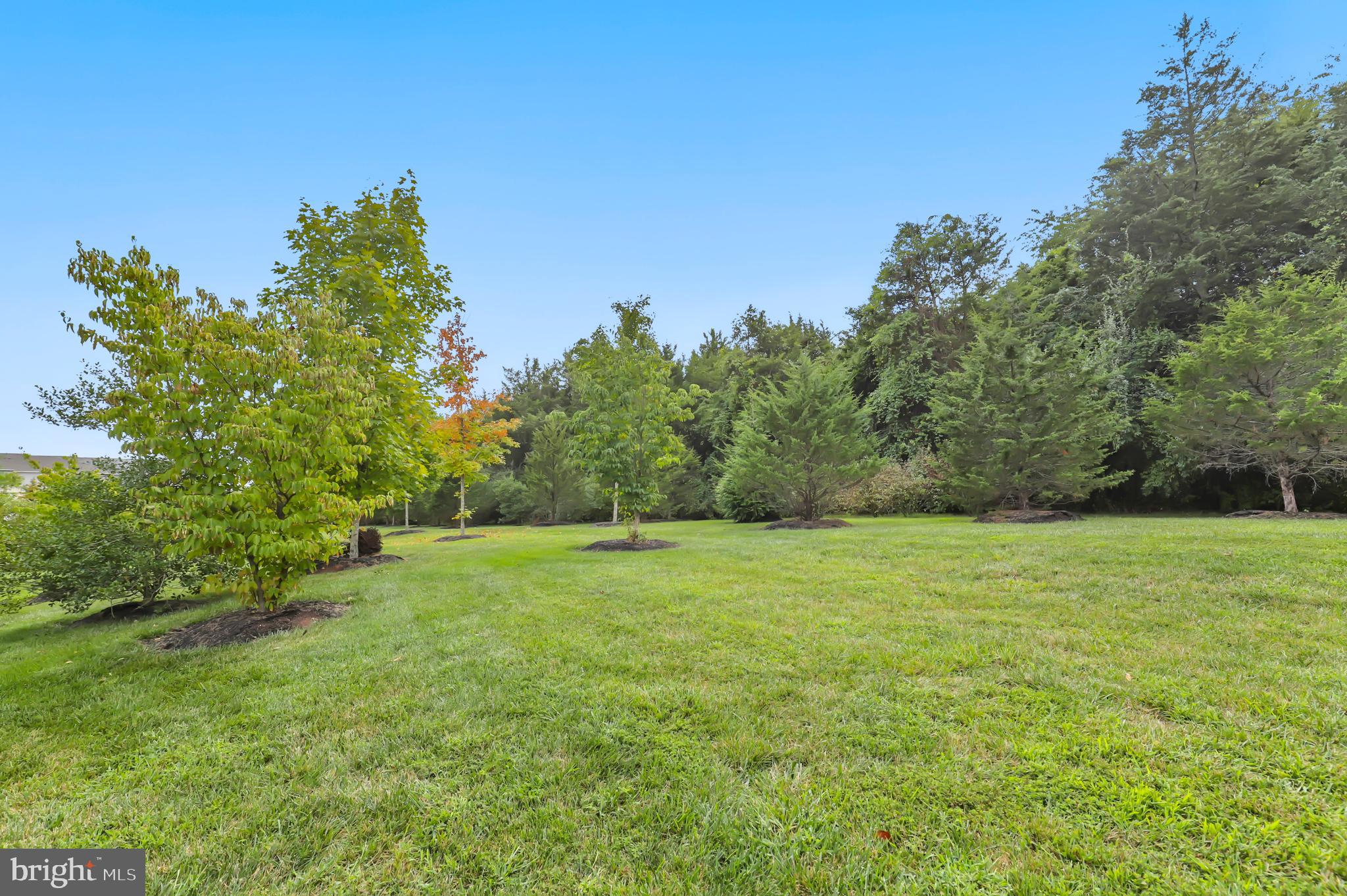 10442 Steeplechase Run Ln