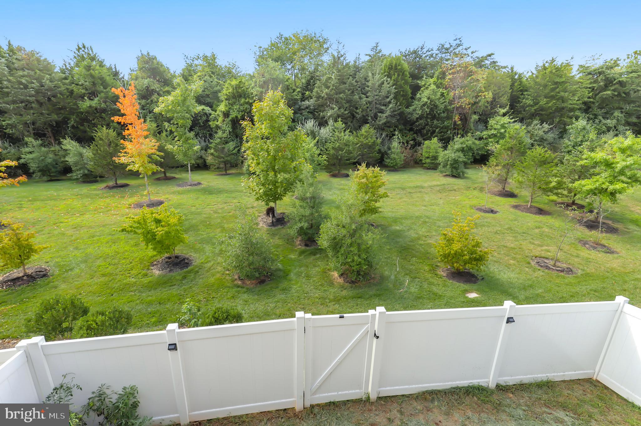 10442 Steeplechase Run Ln