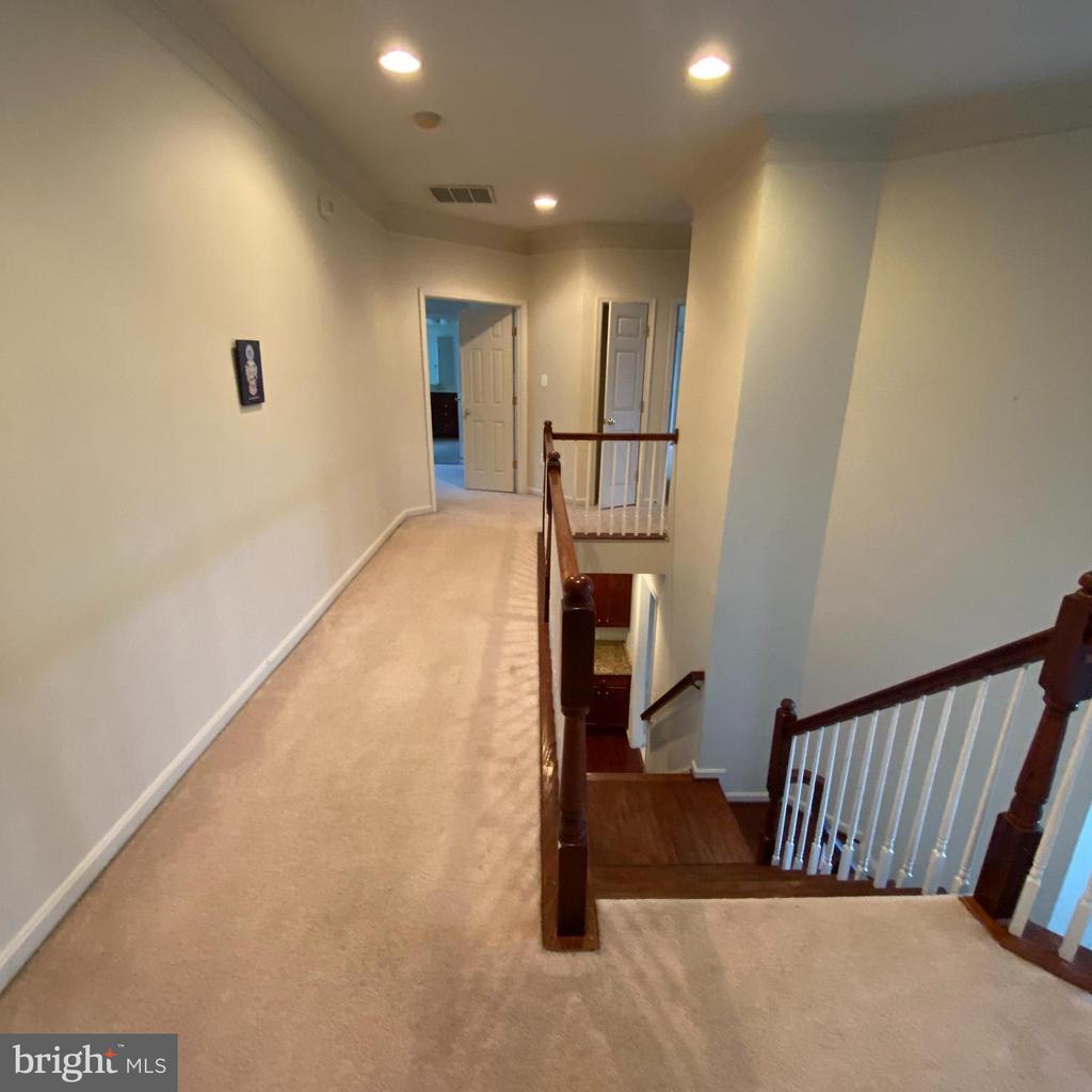 12098 PAPER BIRCH LN
