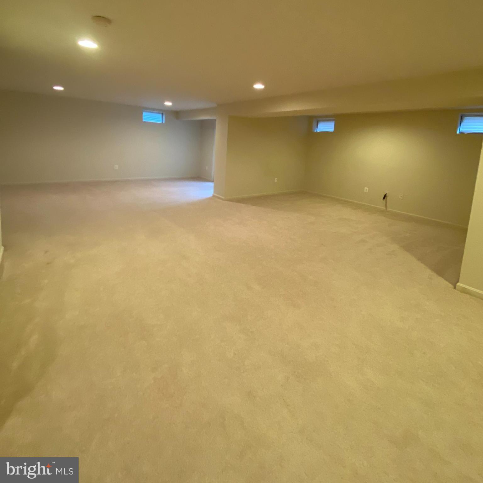 12098 PAPER BIRCH LN