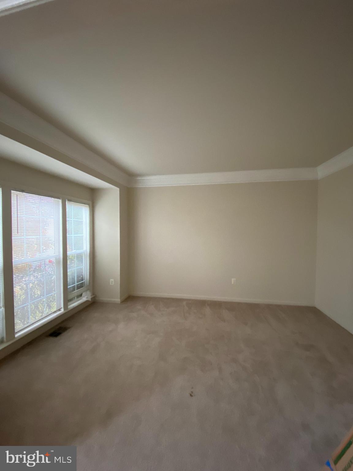 12098 PAPER BIRCH LN