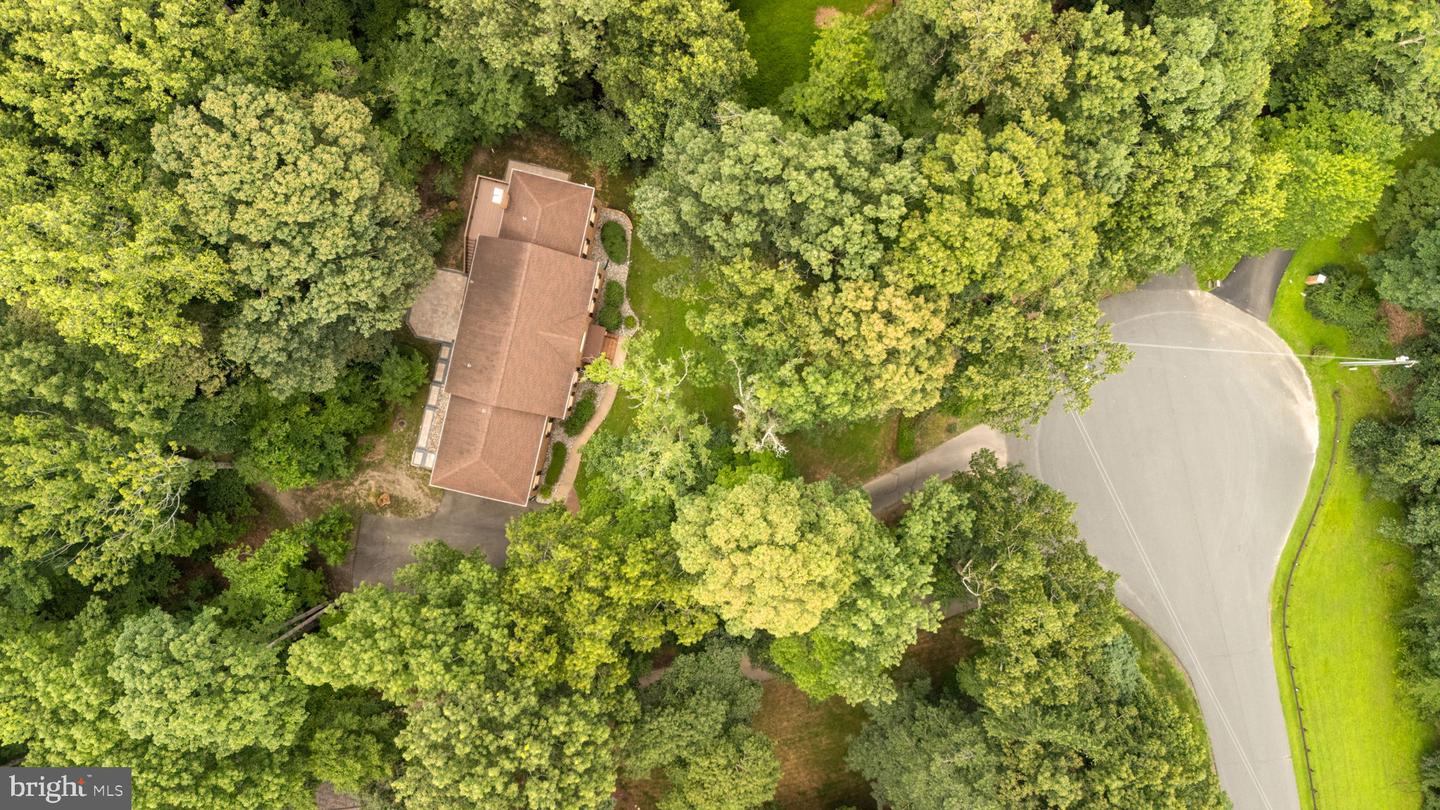6860 Lodgepole Ct