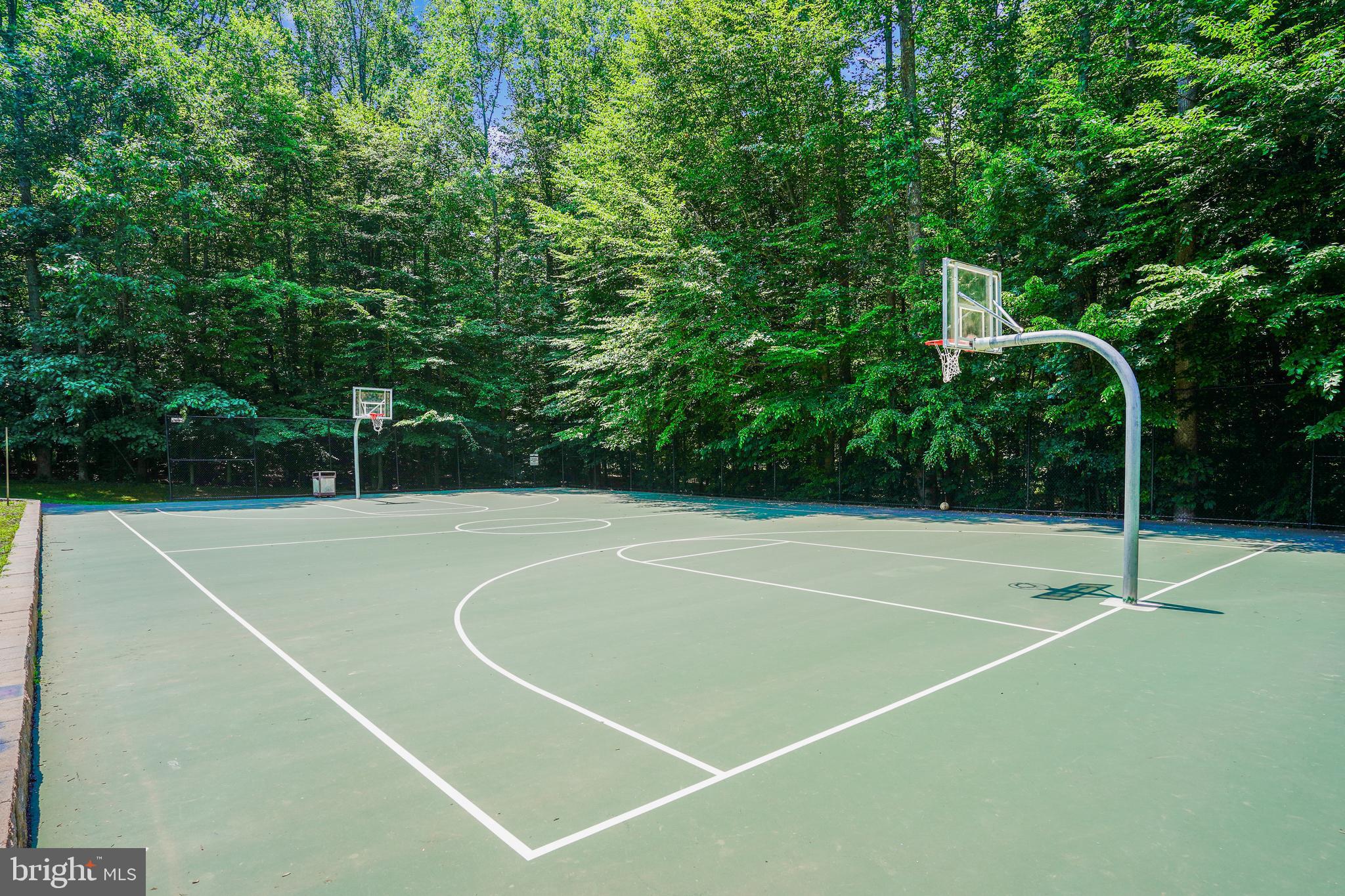 13235 AMBLEWOOD DRIVE