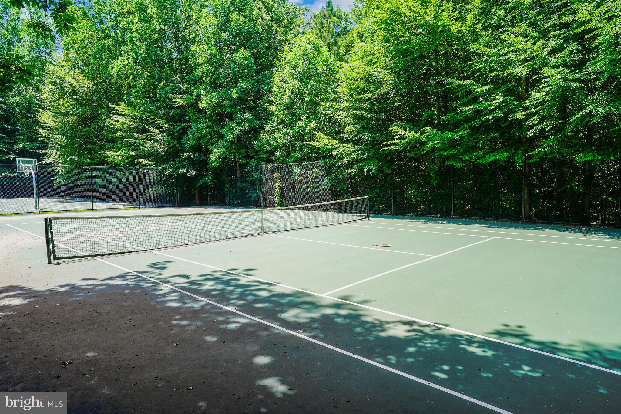 13235 AMBLEWOOD DRIVE