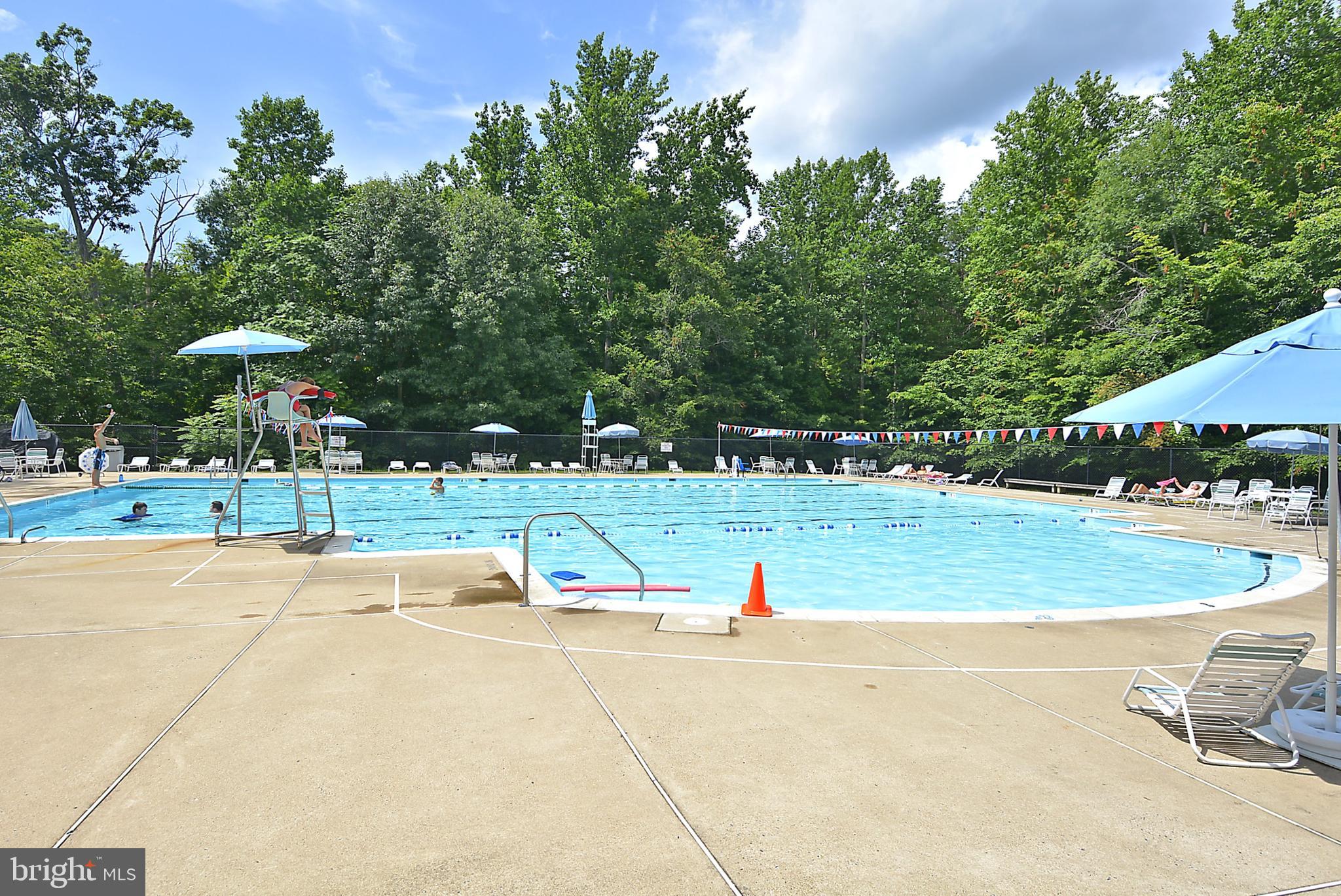 13235 AMBLEWOOD DRIVE