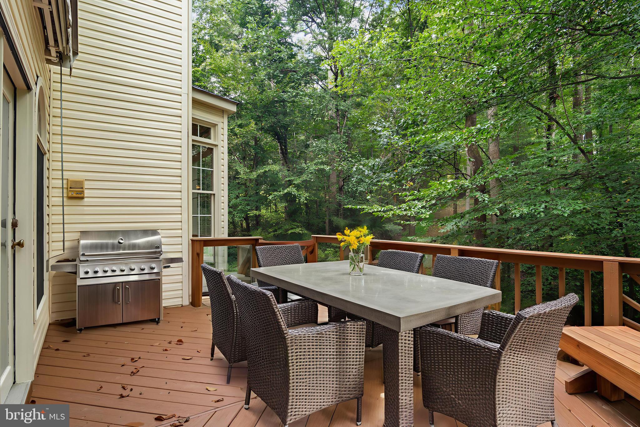 10201 LEATHERLEAF COURT