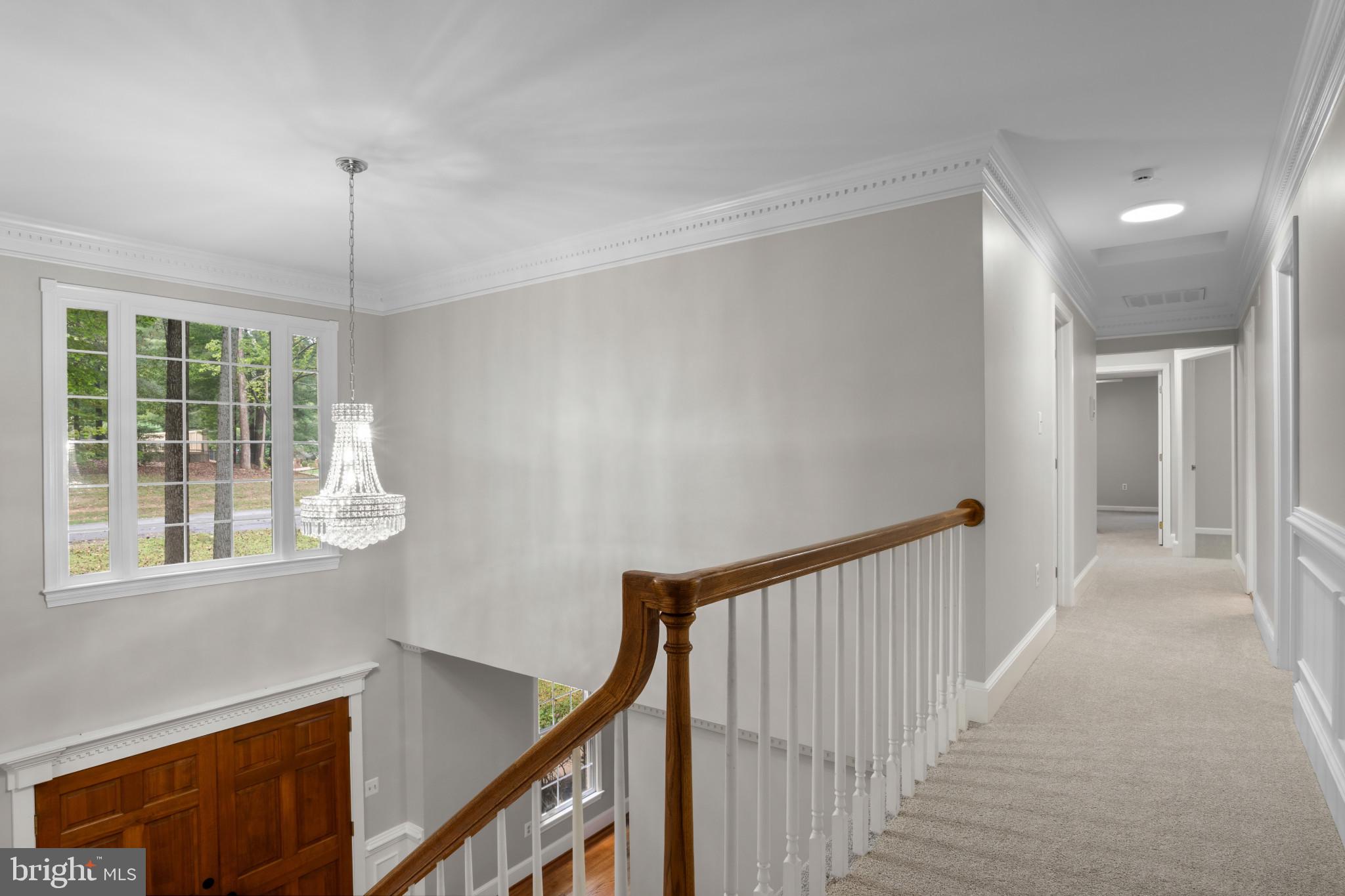 10201 LEATHERLEAF COURT