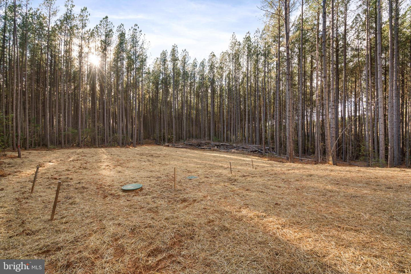 11514 Taylor Ridge Way