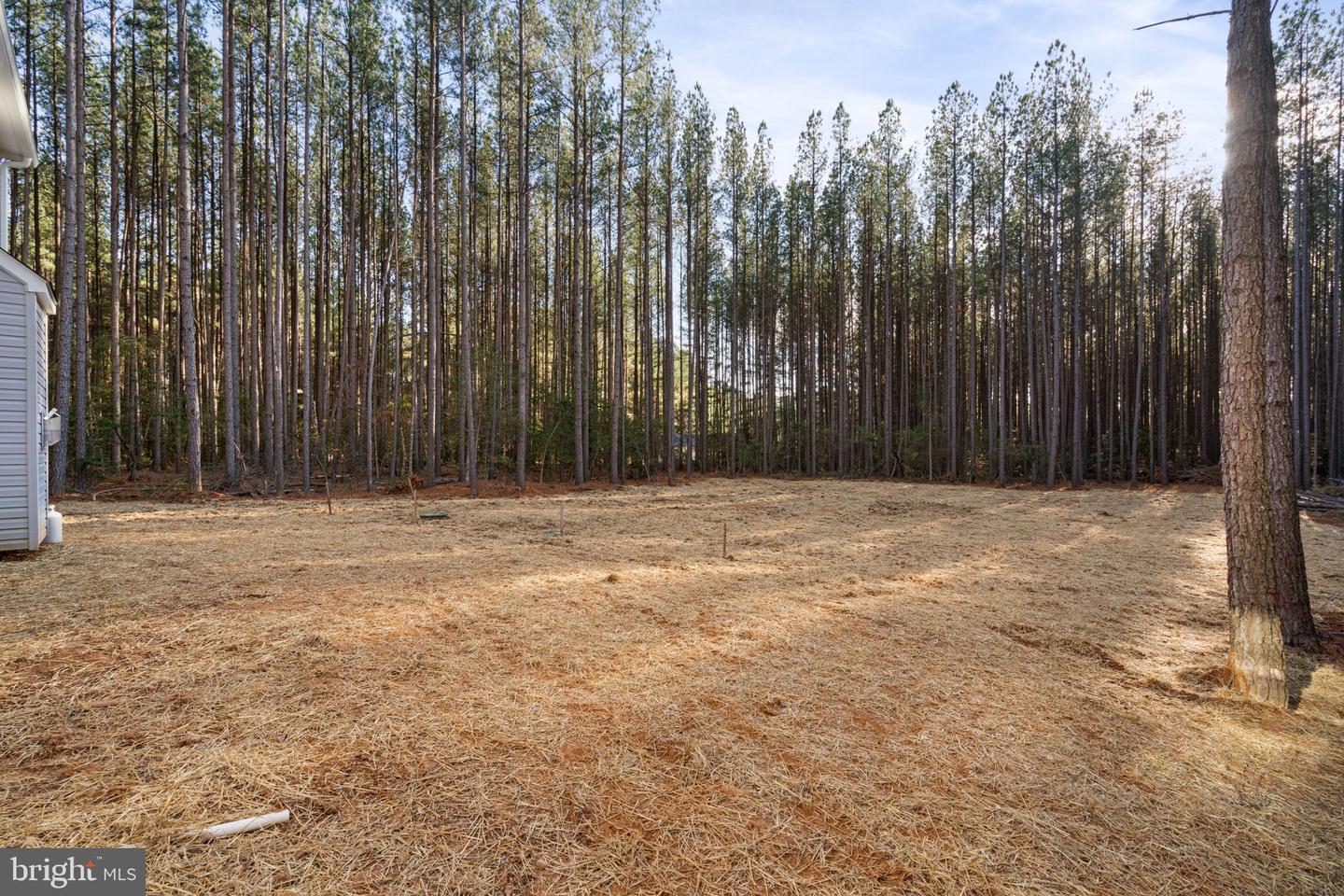 11514 Taylor Ridge Way