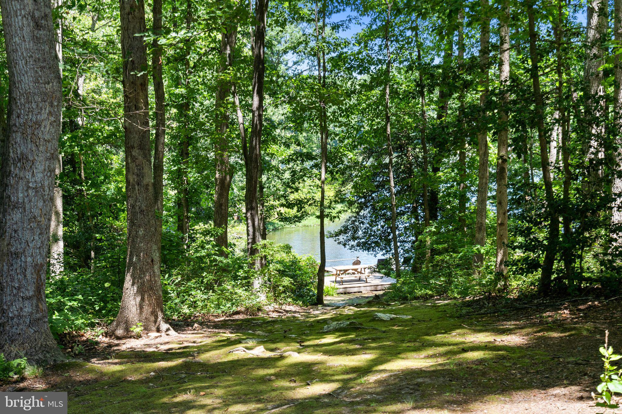 12504 MORTAR LANE