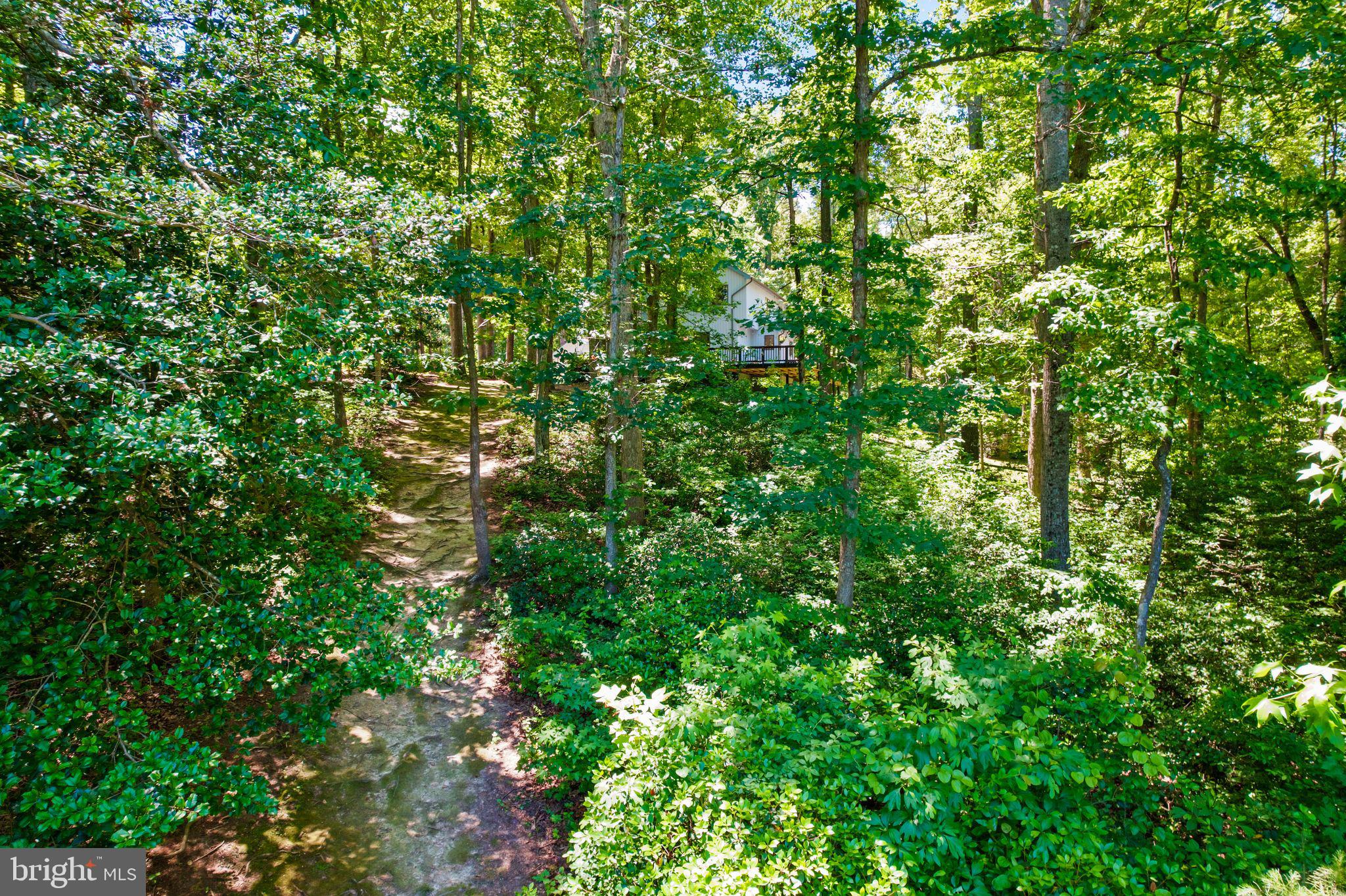 12504 MORTAR LANE