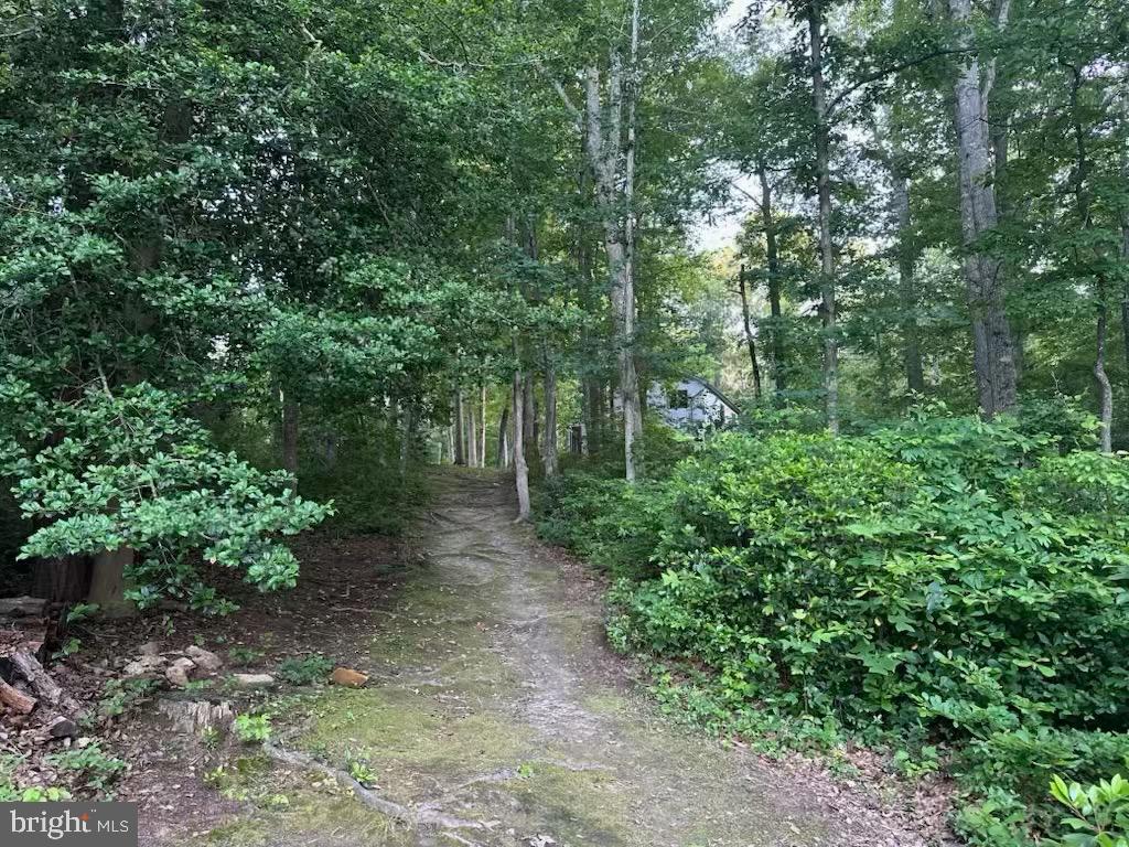 12504 MORTAR LANE