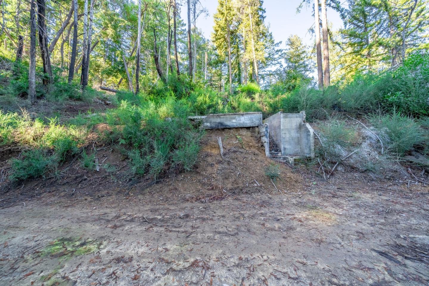 350 Madrone Drive