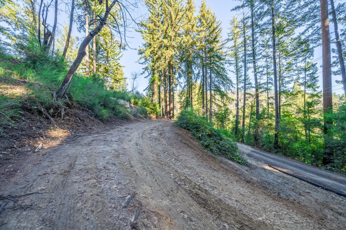 350 Madrone Drive